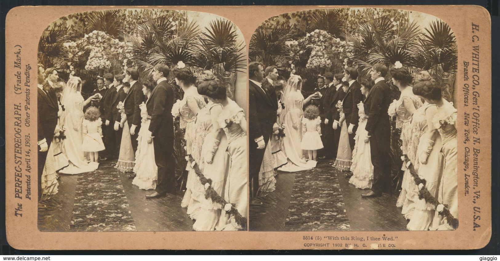 °°° THE PERFEC STEREOGRAPH - BENNINGTON ,VT - 1903  °°° - Bennington