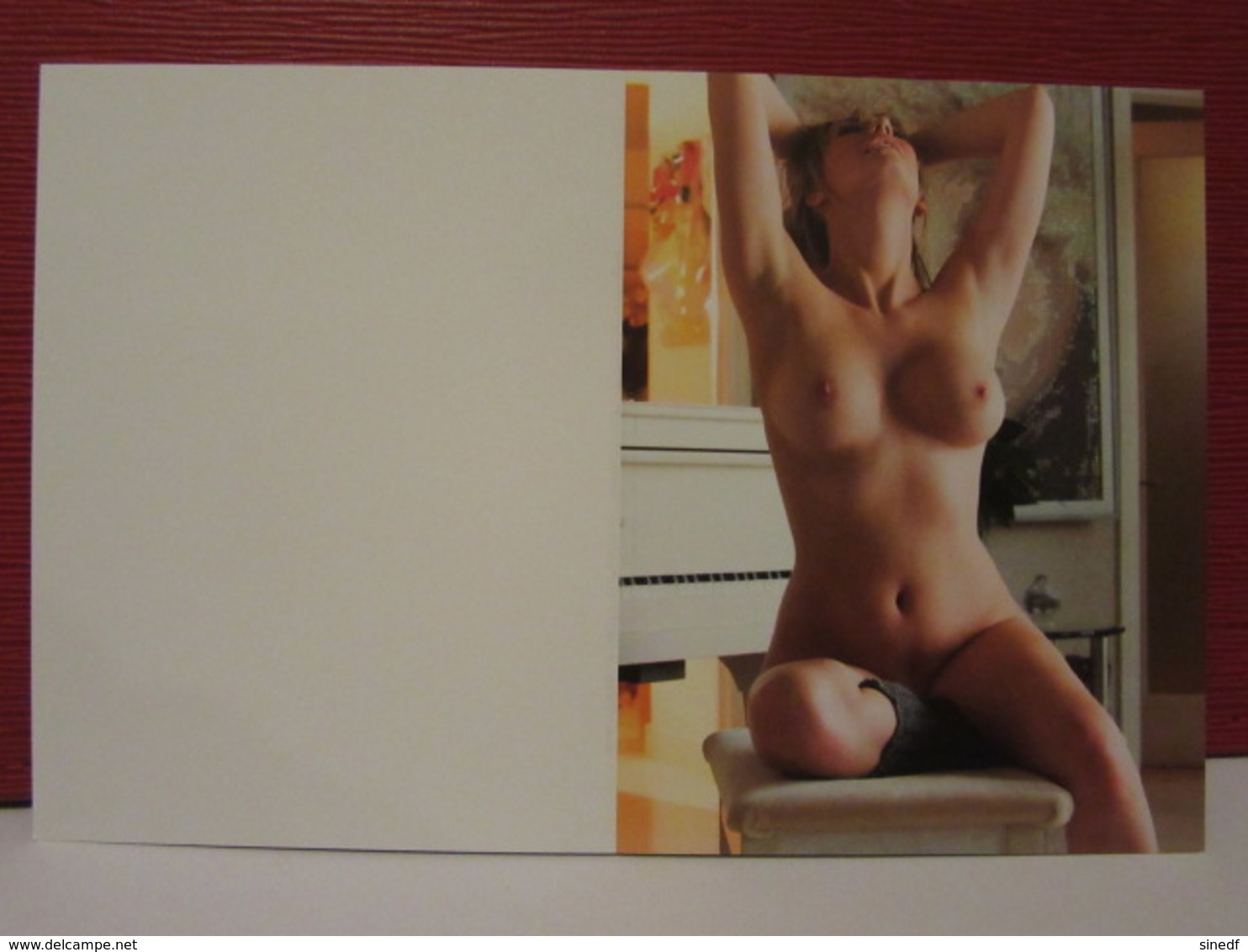 Calendrier Neuf 2019 Format Poche FEMME NUE  18 Erotique  Nu Nude Seins  Fesses - Petit Format : 2001-...
