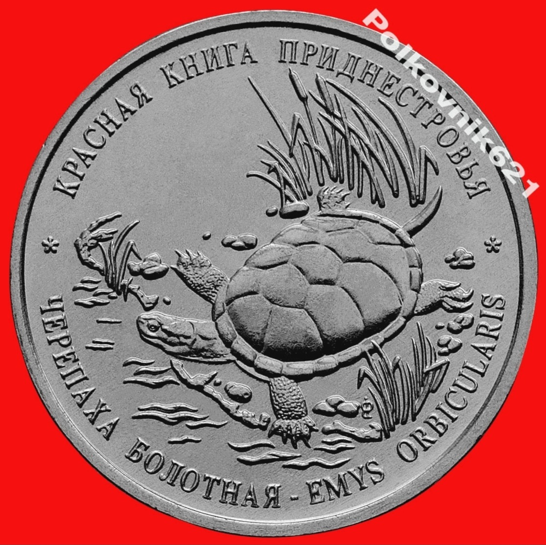 Transnistria / Moldova 1 Ruble 2018 Red Book. Marsh Turtle. New! - Moldavie
