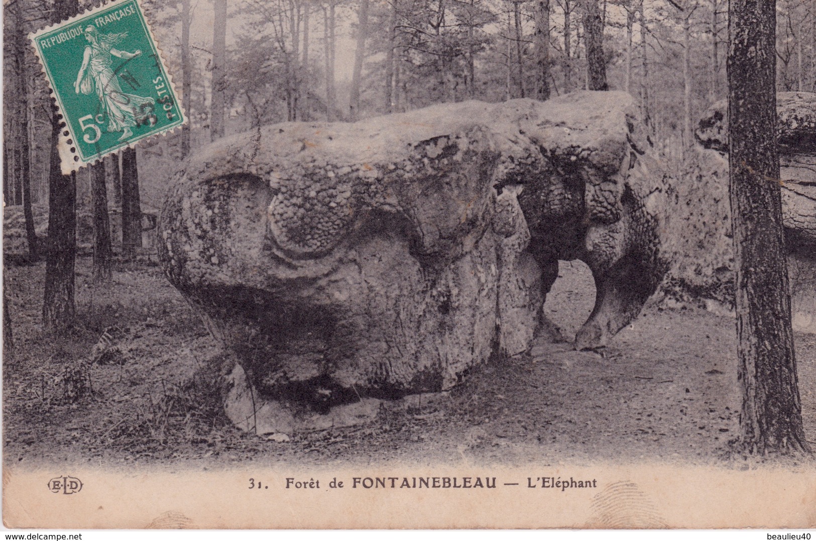 FORET DE FONTAINEBLEAU      L'ÉLÉPHANT - Dolmen & Menhirs