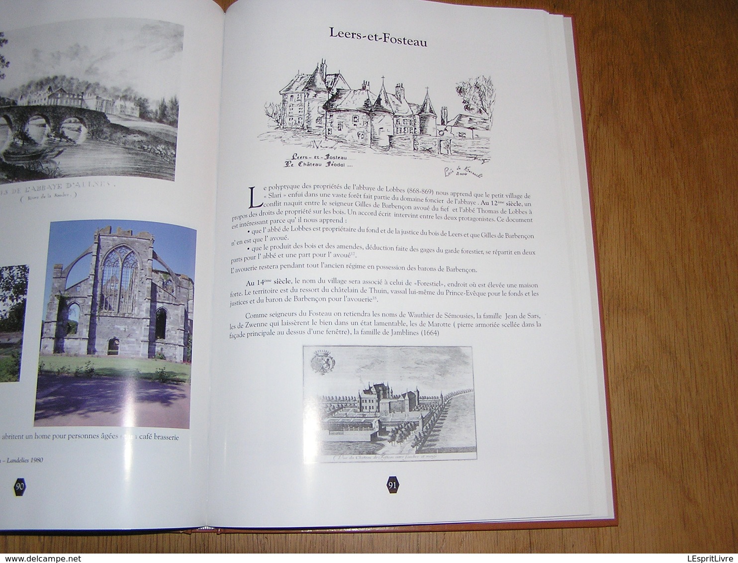 IL ETAIT UNE FOIS L' ENTITE DE THUIN Régionalisme Histoire Gozée Aulne Donstiennes Biesme Biercée Ragnies Thuillies