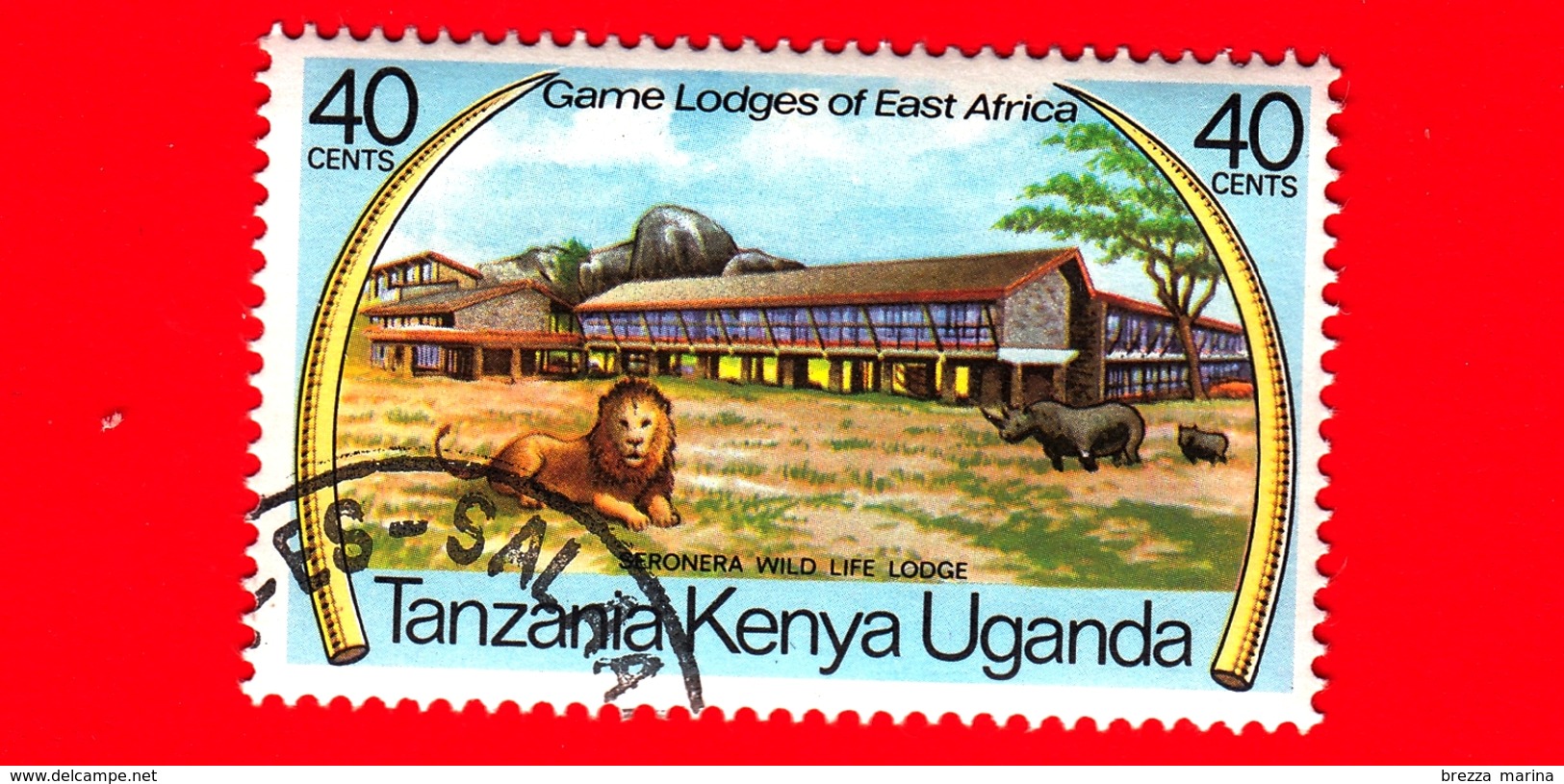 Uganda - Tanzania - Kenya - 1975 - Game Lodges Dell'Africa Orientale - Seronera - Tanzania, Lion (Panthera Leo) - 40 - Kenya, Uganda & Tanzania