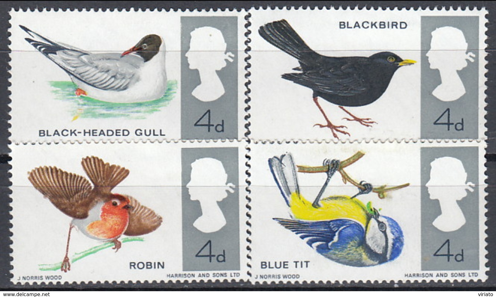 Great Britain 1962 (AVE114) (MNH) - Common Blackbird / Black-headed Gull / Eurasian Blue Tit / Eurasian Robin - Colecciones & Series