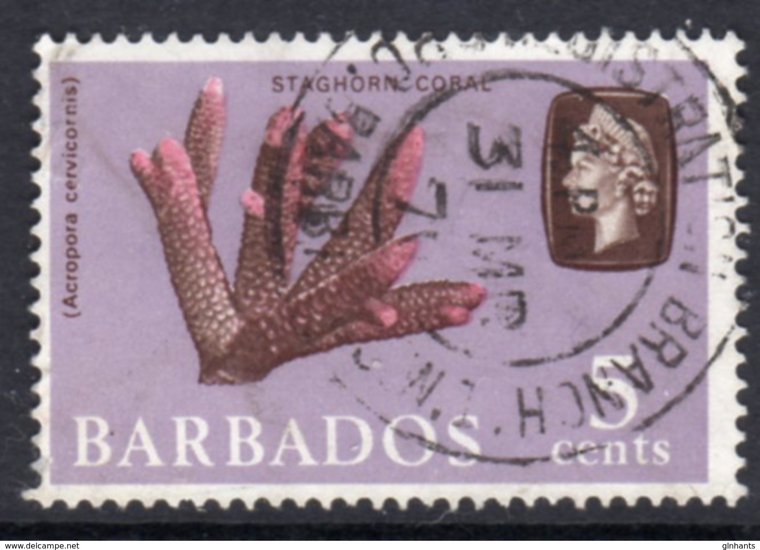 BARBADOS - 1966 5c DEFINITIVE STAMP WMK W12 SIDEWAYS REF A USED SG 346 - Barbados (...-1966)