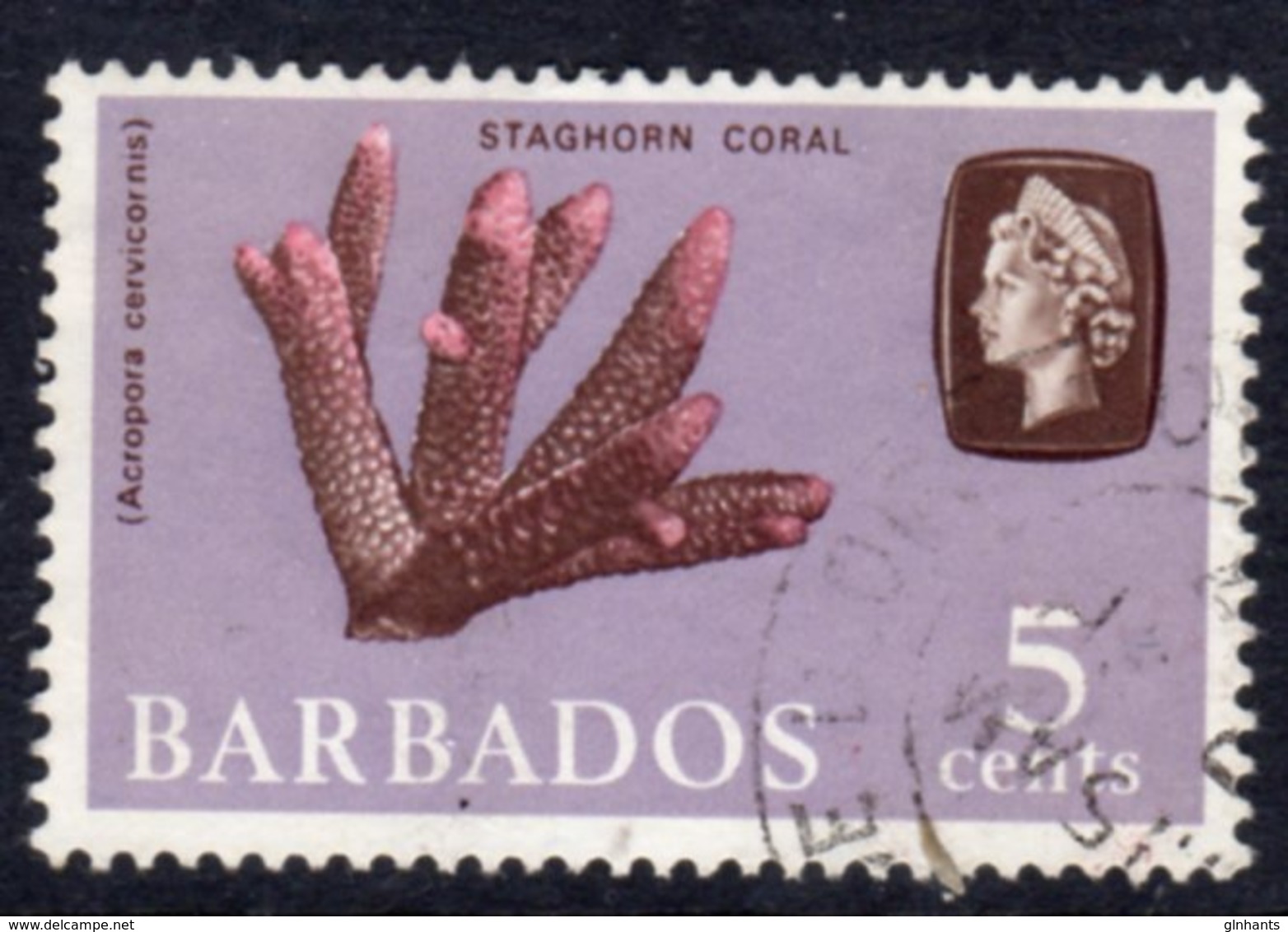 BARBADOS - 1966 5c DEFINITIVE STAMP WMK W12 SIDEWAYS REF C USED SG 346 - Barbados (...-1966)