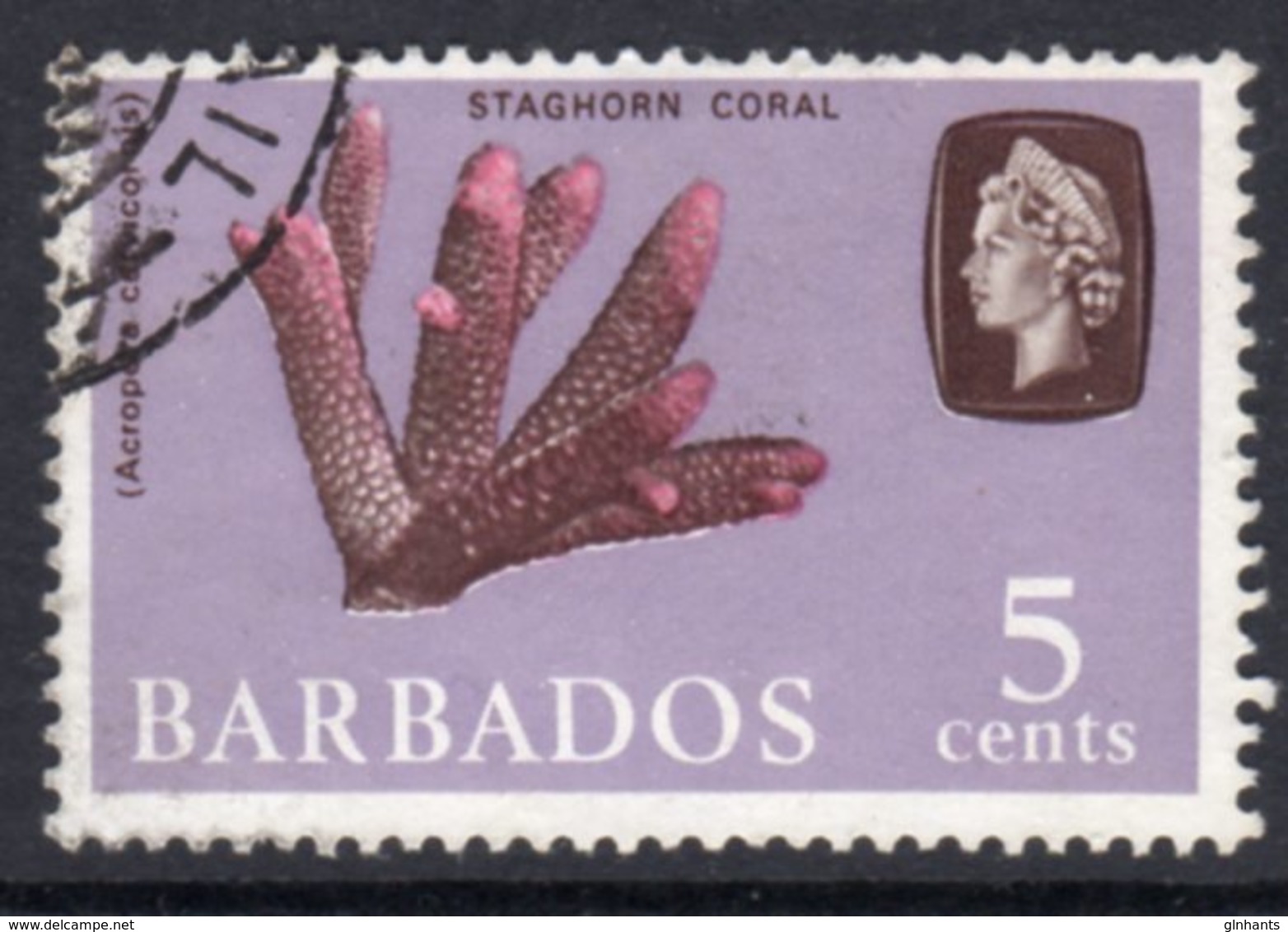 BARBADOS - 1966 5c DEFINITIVE STAMP WMK W12 SIDEWAYS REF G USED SG 346 - Barbados (...-1966)