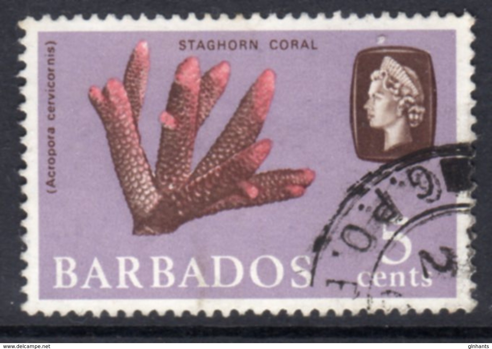 BARBADOS - 1966 5c DEFINITIVE STAMP WMK W12 SIDEWAYS REF I USED SG 346 - Barbados (...-1966)