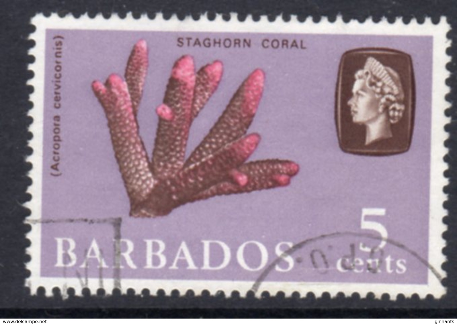 BARBADOS - 1966 5c DEFINITIVE STAMP WMK W12 SIDEWAYS REF K USED SG 346 - Barbados (...-1966)