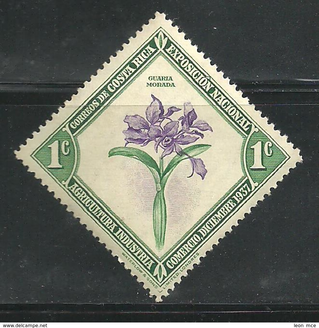 1937 - 1938  COSTA RICA Flor Nacional Orquídea Guaría Morada Sello MNH  National Flower Orchid Guaria  Purple - Costa Rica