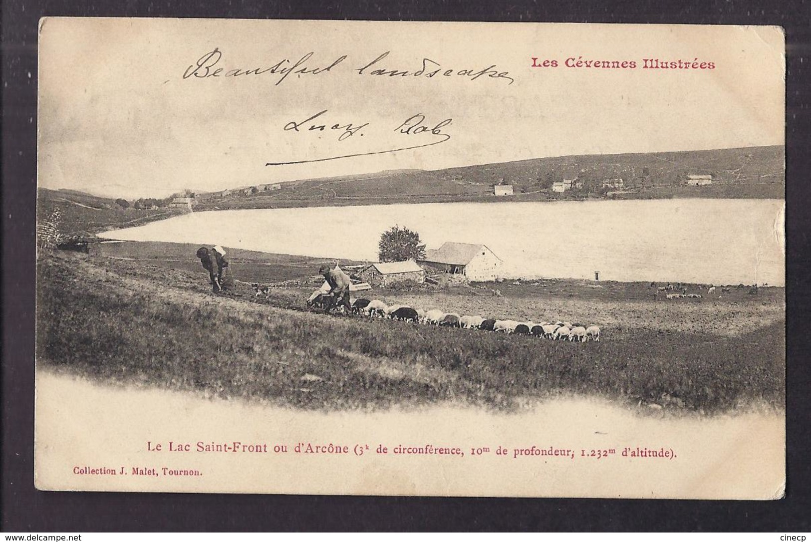 CPA 07 - LAC SAINT-FRONT - Le Lac Saint-Front Ou D'Arcône - TB PLAN Troupeau De Moutons Et Berger + TB Oblitération 1904 - Autres & Non Classés