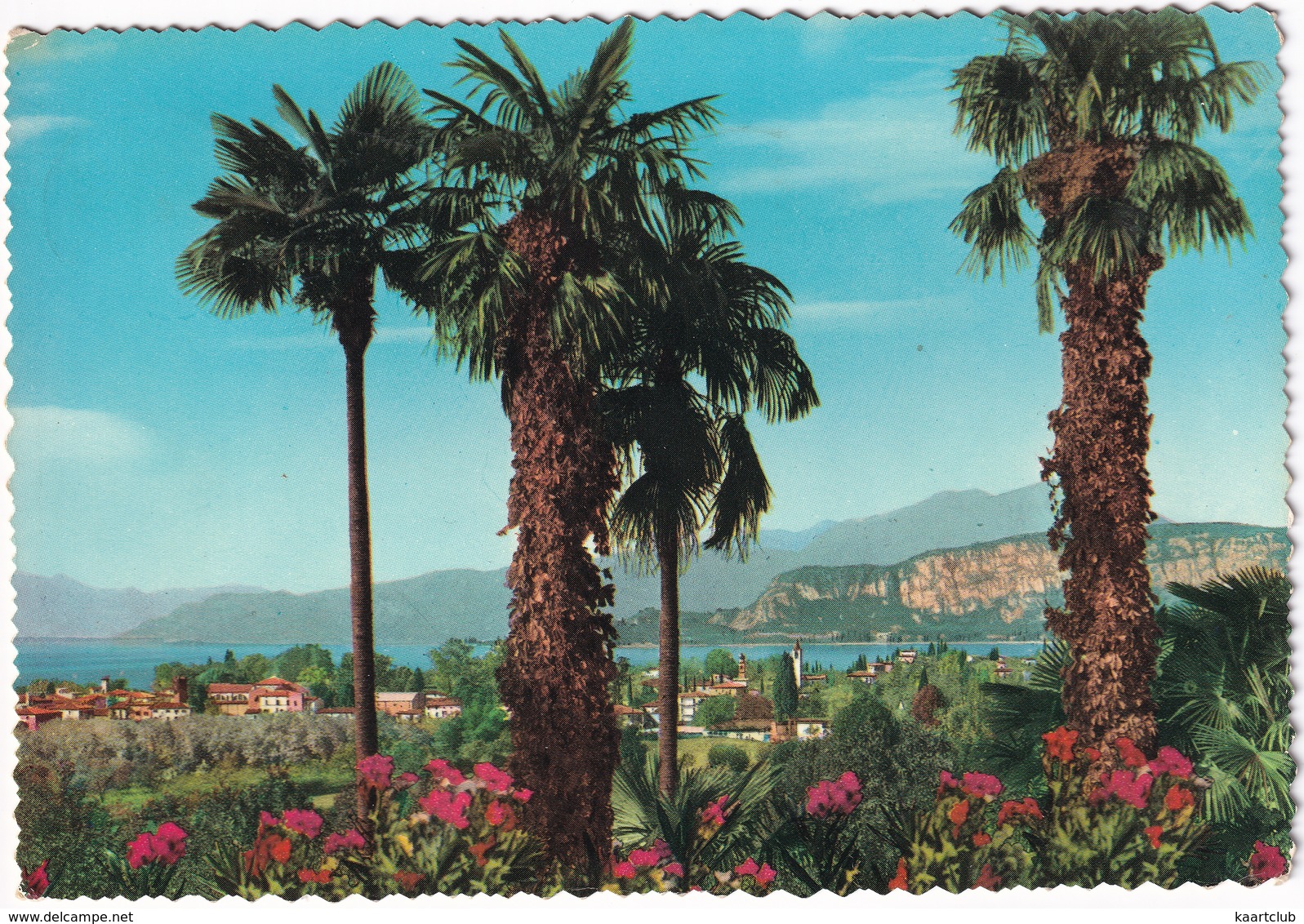 Bardolino - Panorama - (Lago Di Garda) - (Italia) - Verona