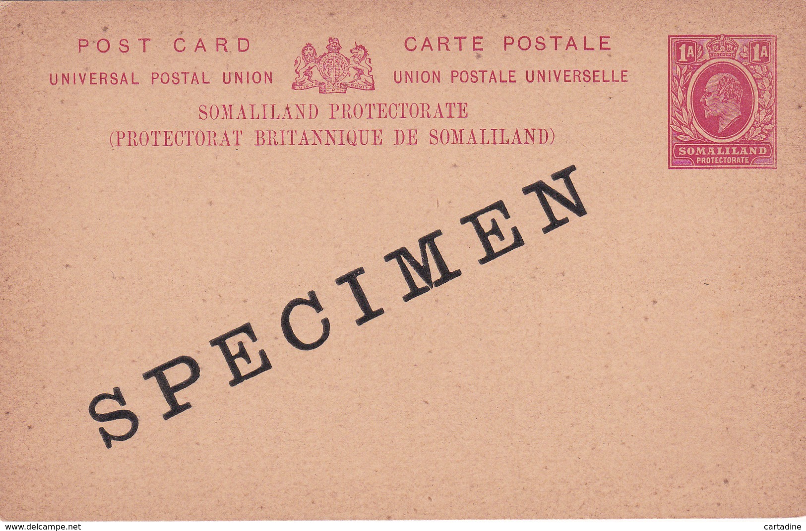 Entier Postal -  Somaliland Protectorate - 1A Red / Rouge   - SPECIMEN!!! - Somaliland (Protectorate ...-1959)