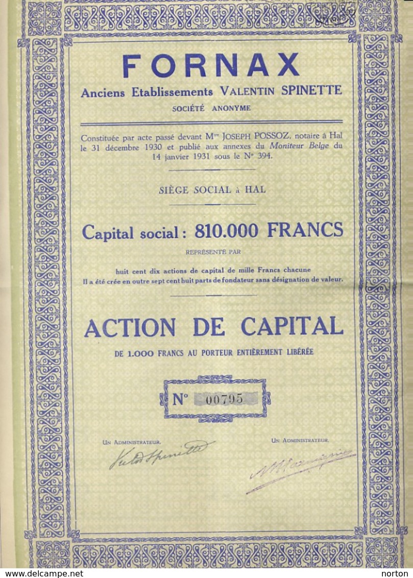 Action De Capital De Fornax Hal - D - F