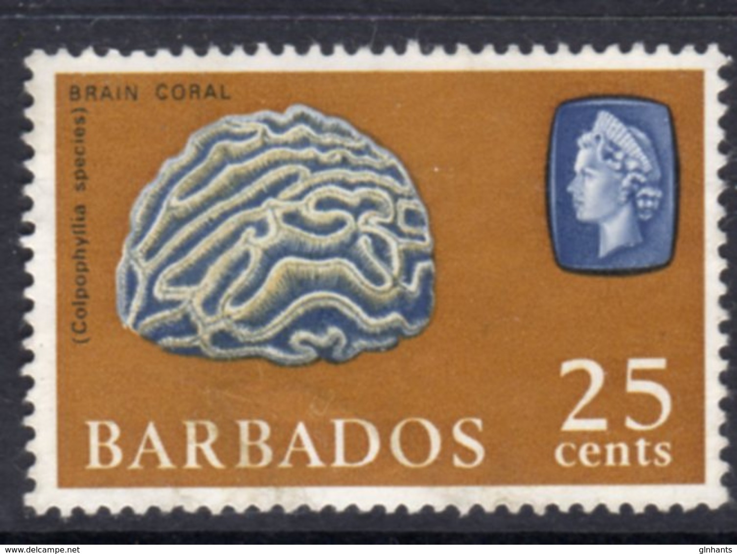 BARBADOS - 1966 25c DEFINITIVE STAMP WMK W12 SIDEWAYS REF B USED SG 351 - Barbados (...-1966)