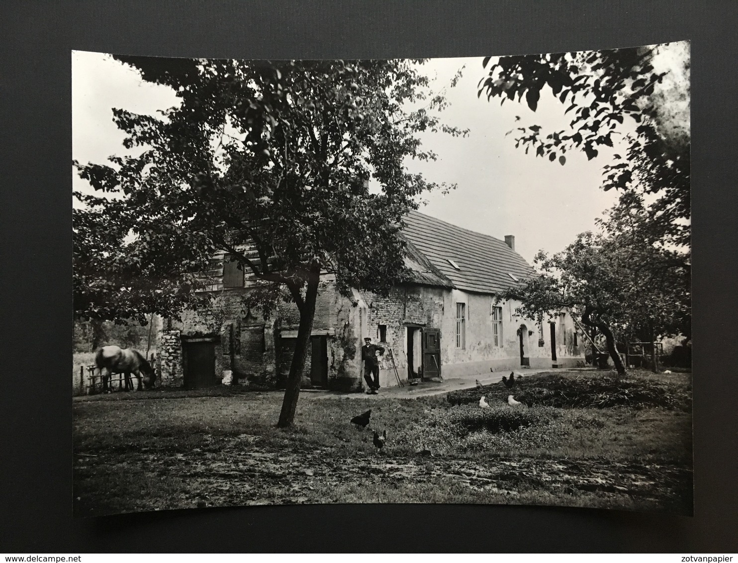 WEERT - Originele Foto - Pachthof - Weert