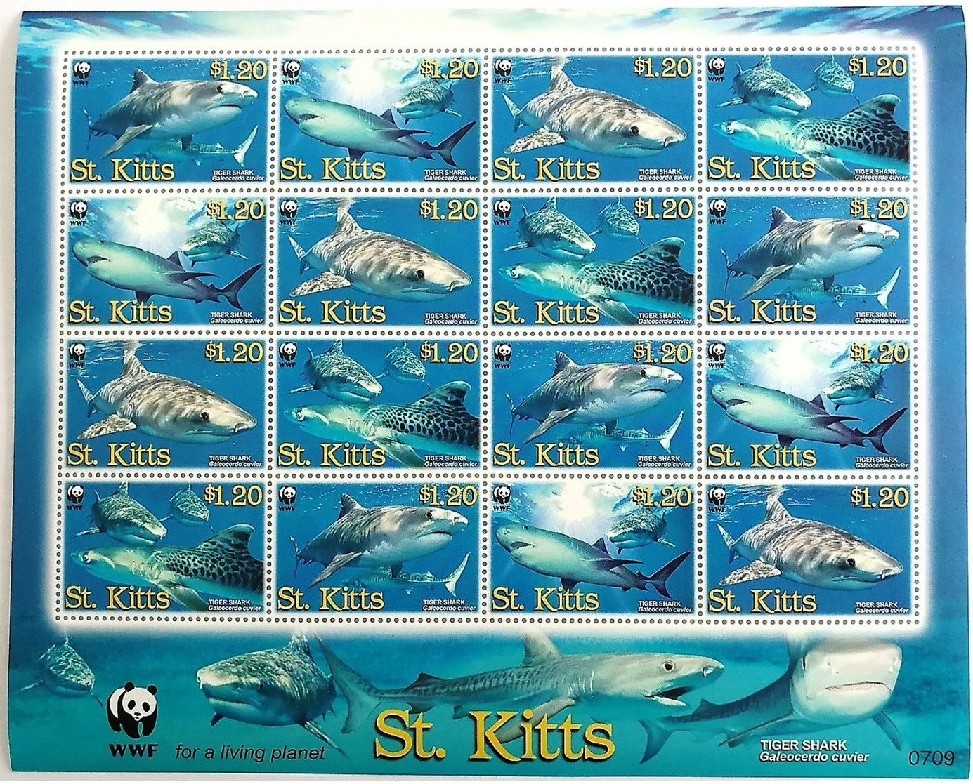 # St.Kitts 2007**Mi.955-58 WWF,Tiger Shark , MNH [16;85a] - Sonstige & Ohne Zuordnung
