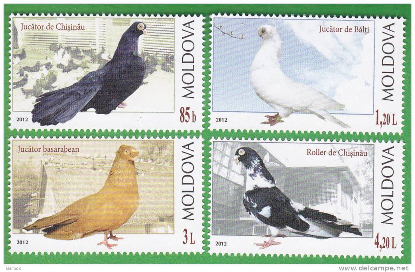 Moldova ,  Moldavie , Moldau , 2012 , Birds ; Pigeons Of Moldova  ; Las Palomas ; Tauben ; 4 V, MNH. - Columbiformes