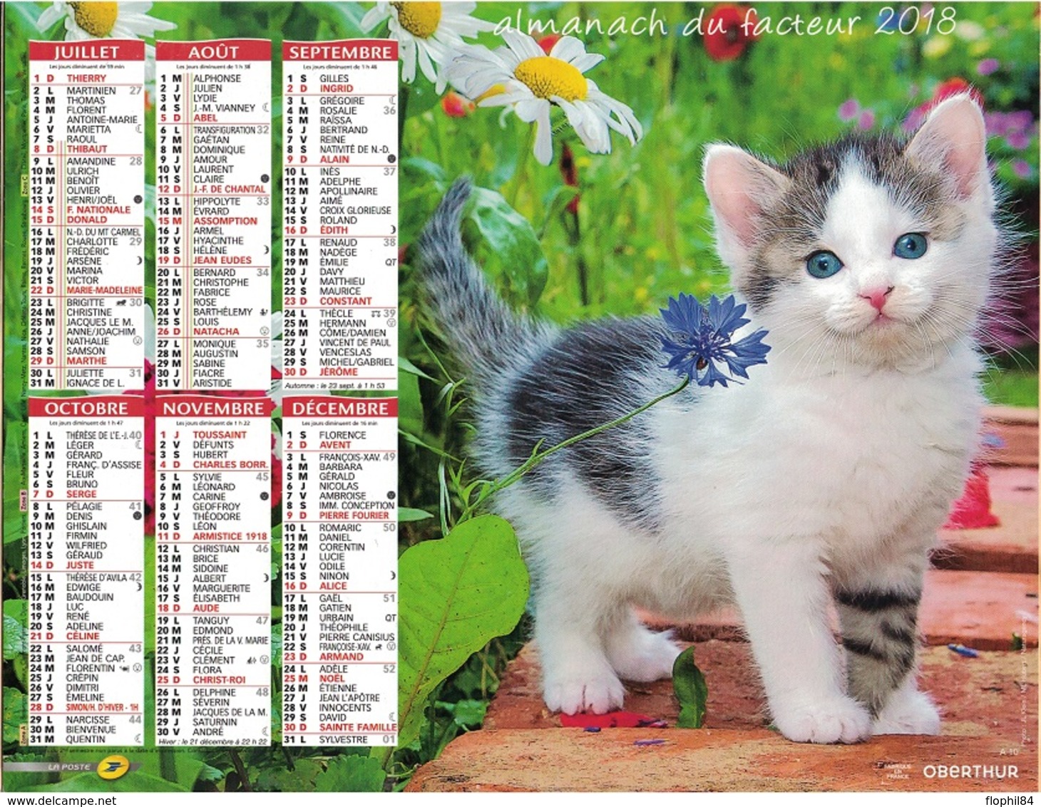 VAUCLUSE - CALENDRIER DE 2018 - ILLUSTRATIONS PETITS CHATS. - Big : 2001-...