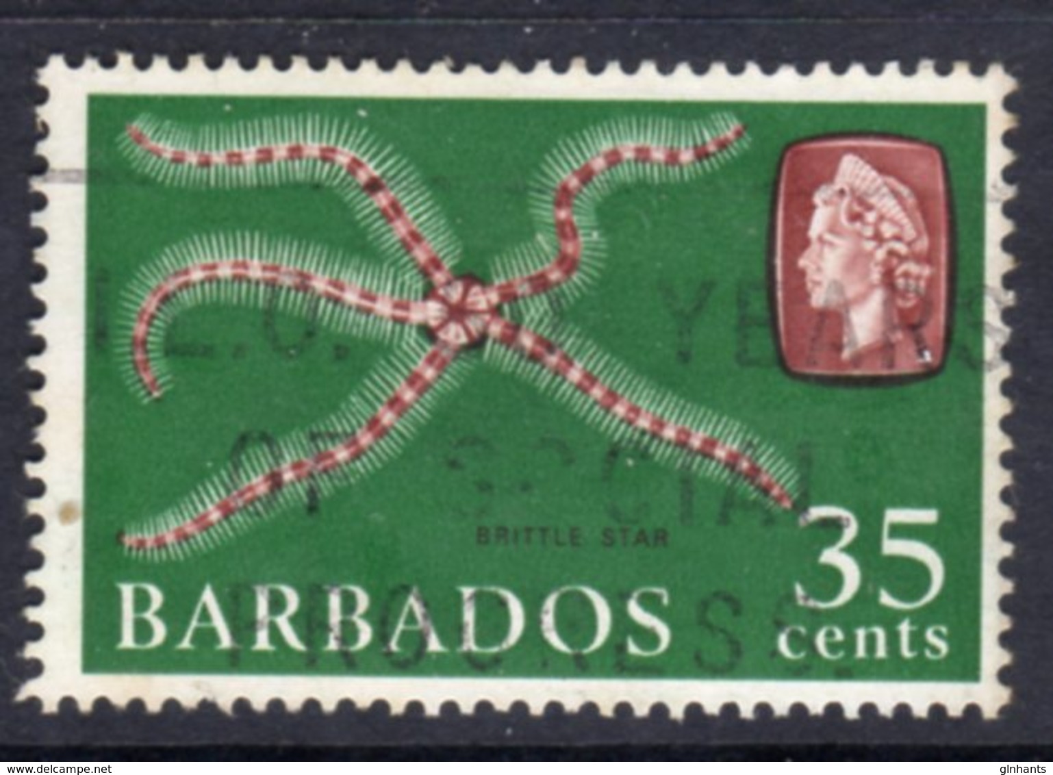 BARBADOS - 1966 35c DEFINITIVE STAMP WMK W12 SIDEWAYS REF D USED SG 352 - Barbados (...-1966)