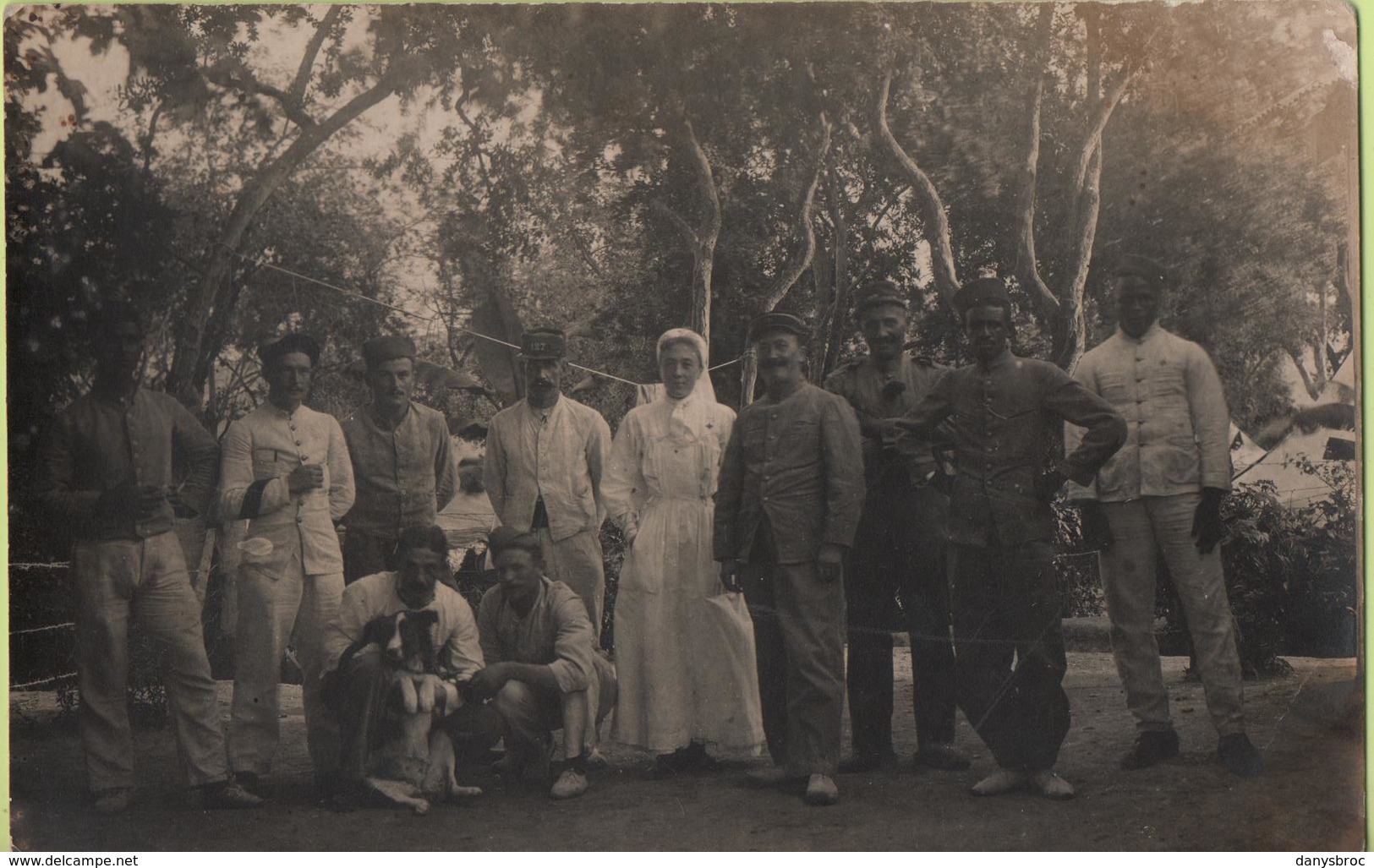 Groupe De Militaires Debout, Femme, Chien CPA Carte Photo Guerre Militaire - Guerre, Militaire