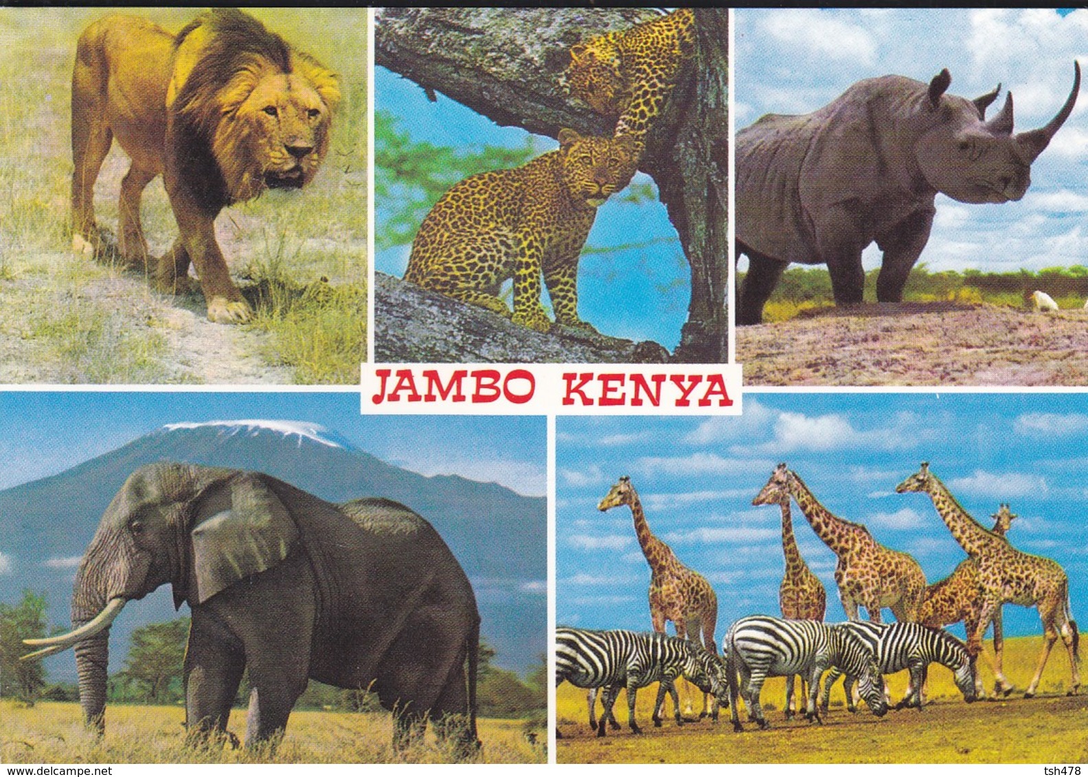 KENYA---JAMB-KENYA--multi-vues--voir 2 Scans - Kenya