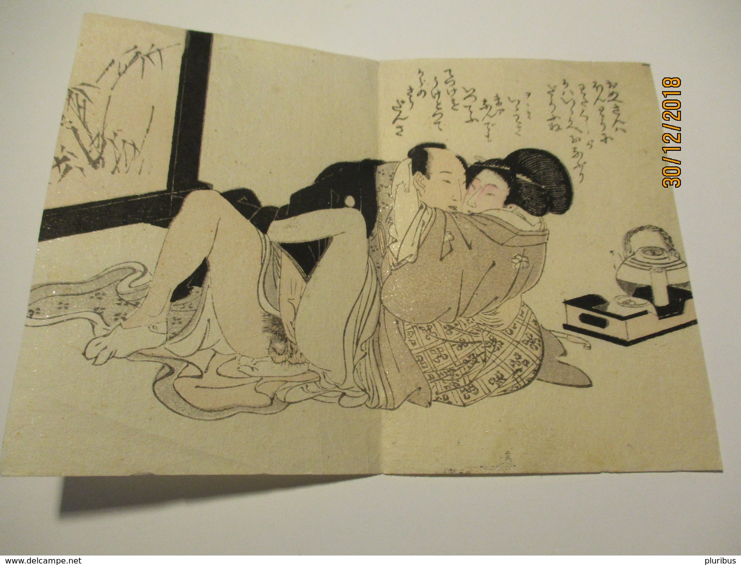 Shunga Erotic Art