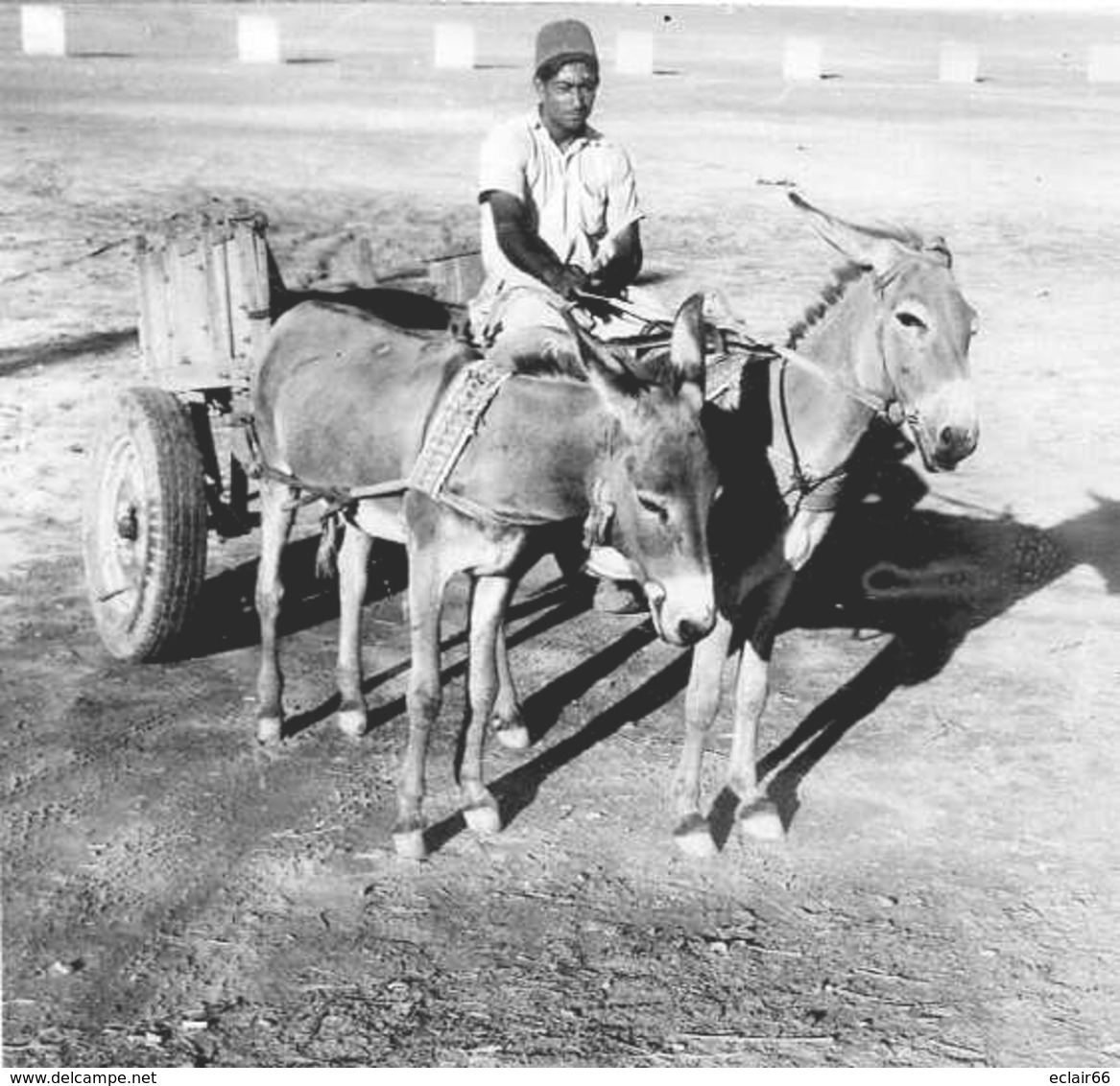 PAKISTAN (LAHORE)attelage D'anons Trés Animée Année 1950  CPHoto 5,50cmX5,50cm  Impeccable - Pakistan