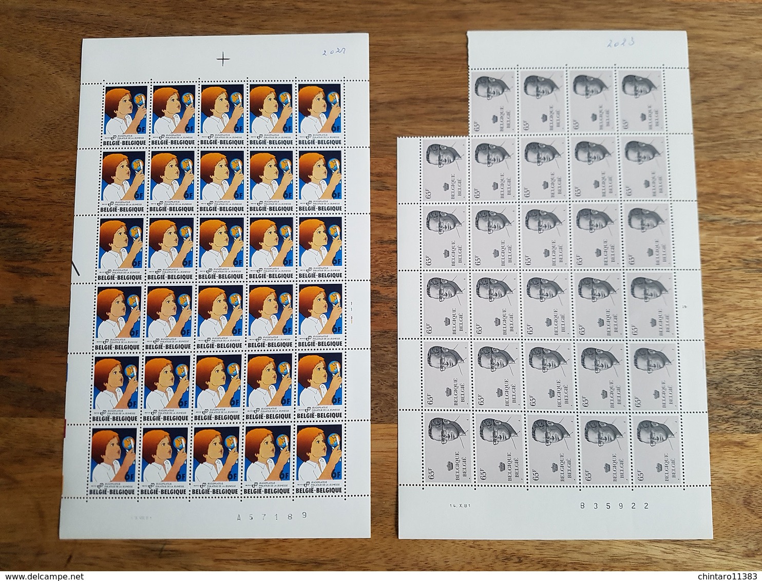 Lot feuilles complètes/incomplètes de timbres Belgique - Année 1981