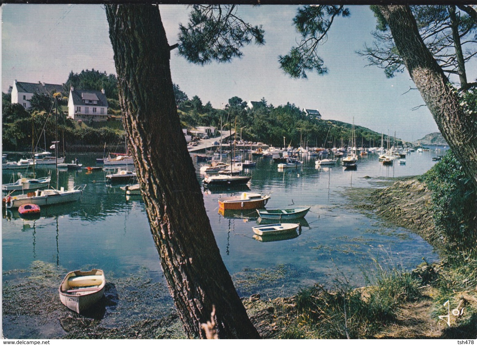 29----MOELAN SUR MER--le Port De Merrien---voir 2 Scans - Moëlan-sur-Mer