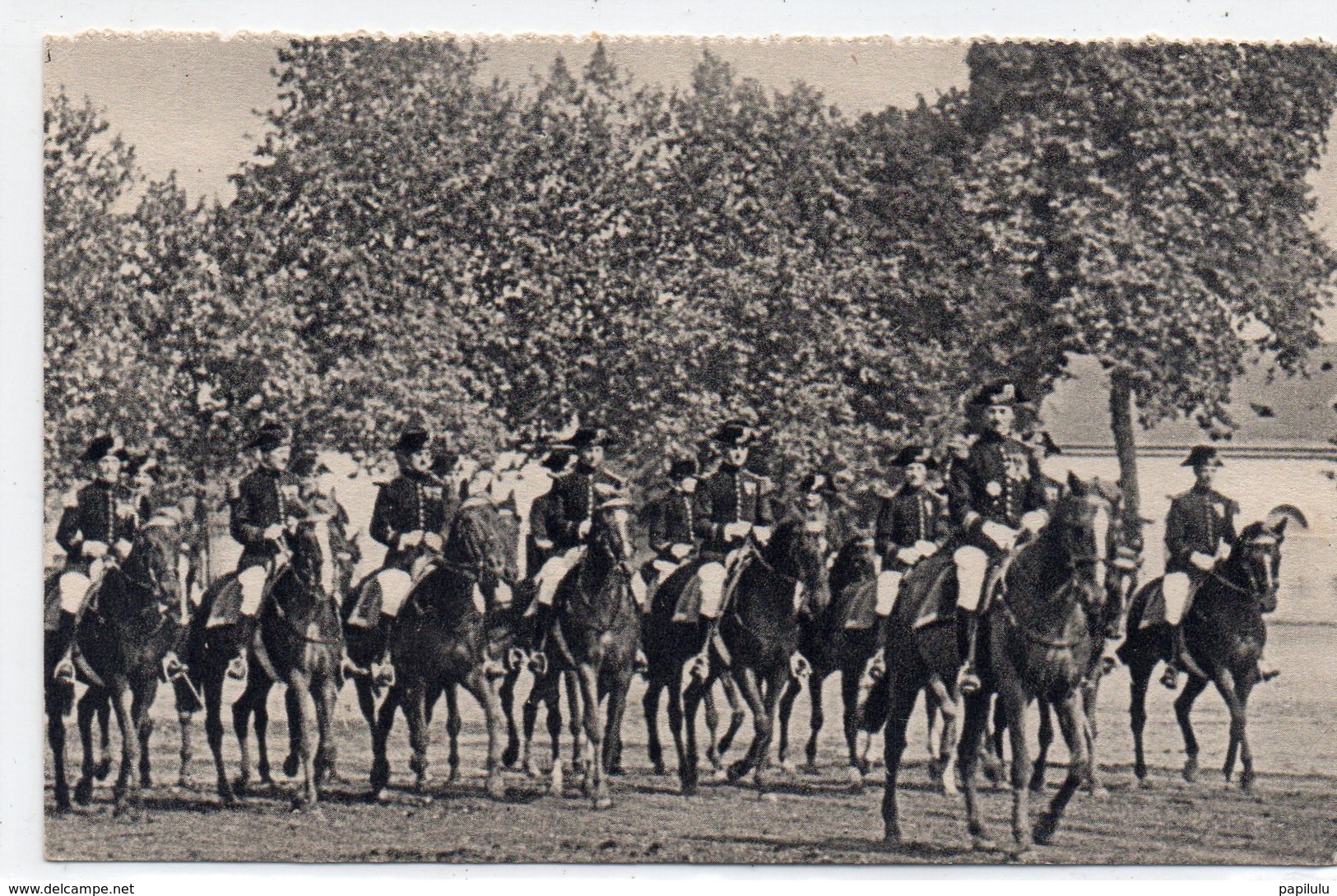 MILITARIA 331 : Carte Photo ; Les écuyers Du Cadre Noir ( Peut être De Saumur ) - Regimientos