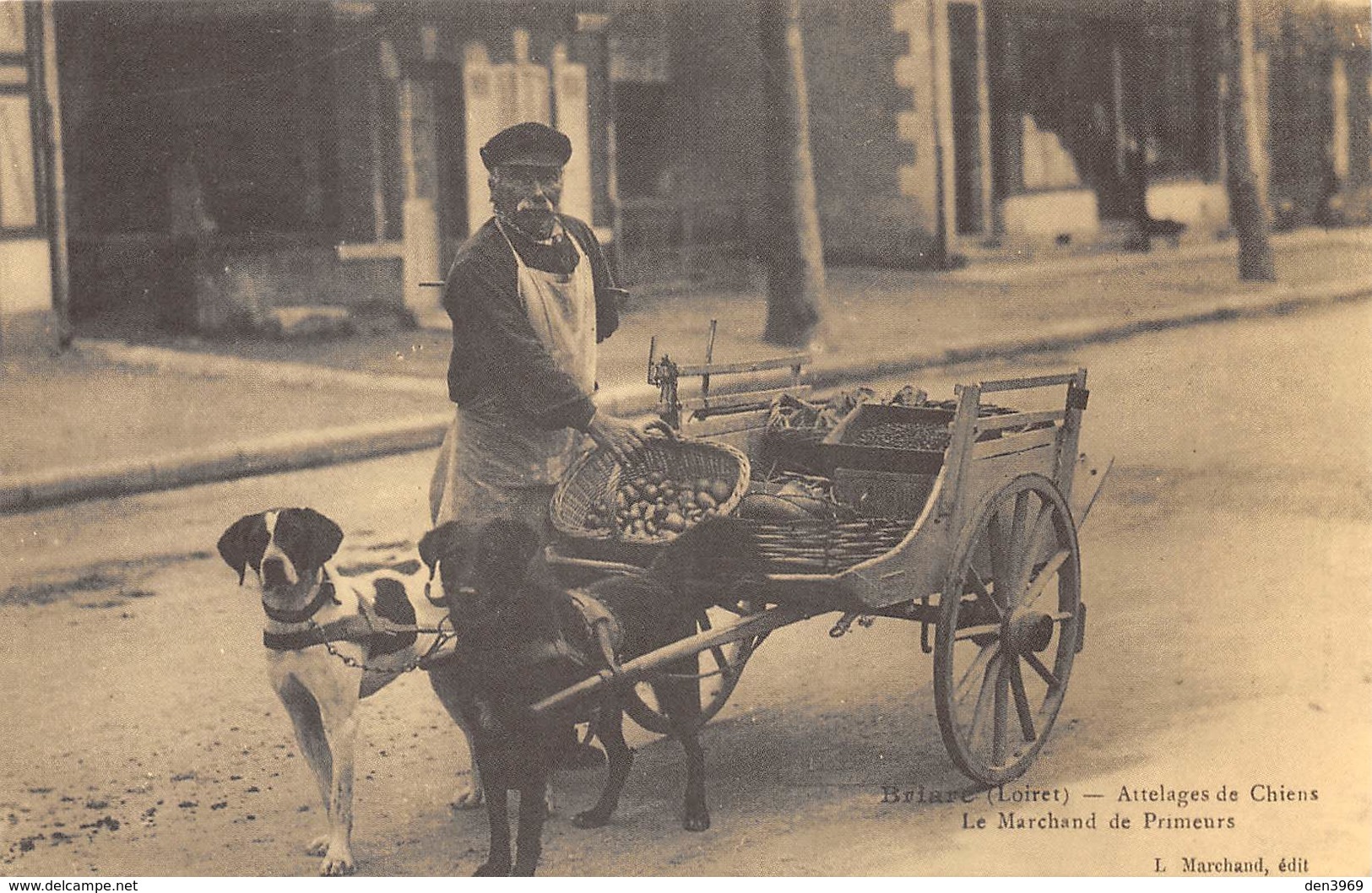 Briare - Attelages De Chiens - Le Marchand De Primeurs - Cecodi N'694 - Briare