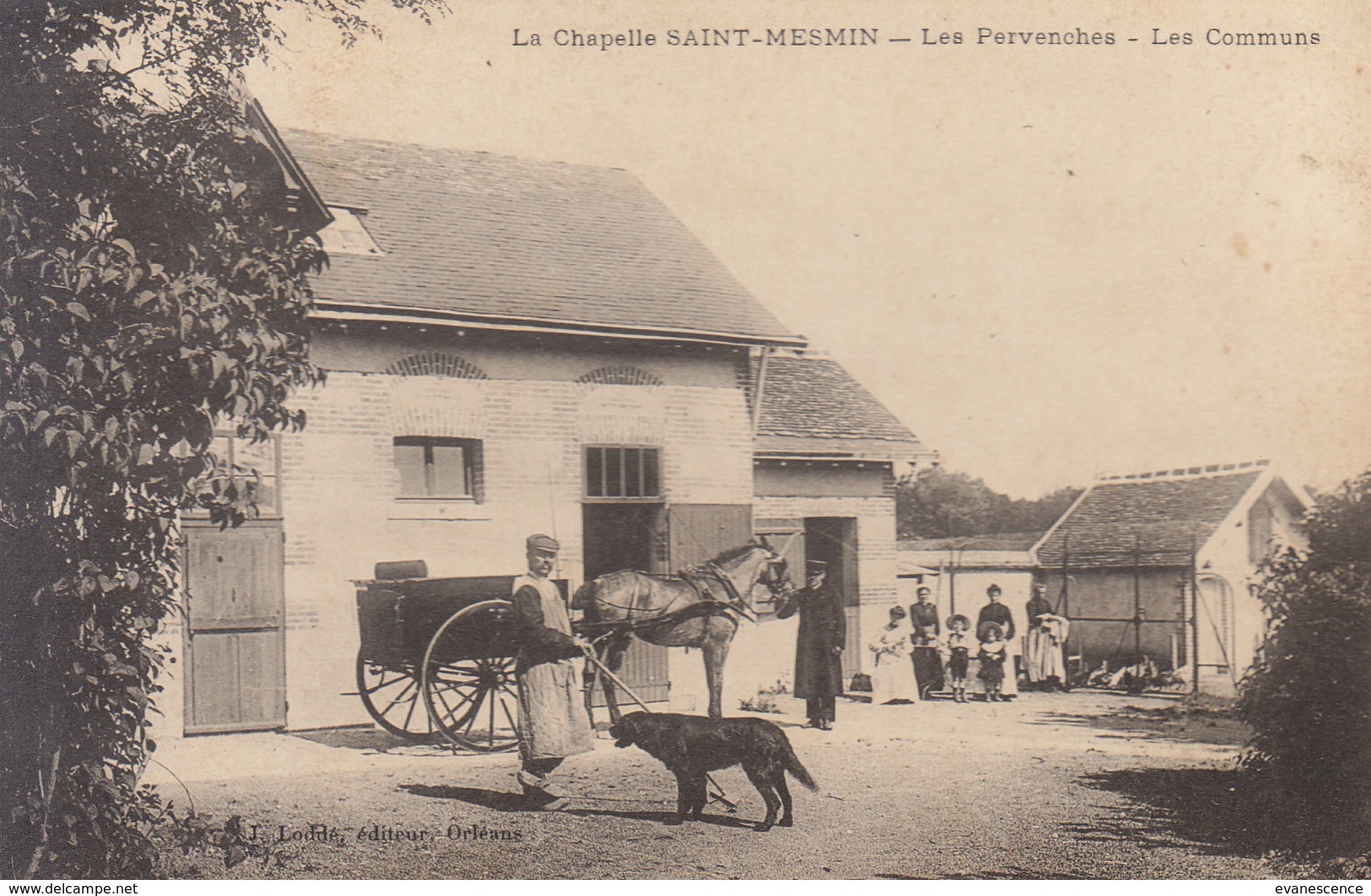 °°°  45  LA CHAPELLE SAINT MESMIN : Les Pervenches    °°°  ///  REF JANV.  18 - Andere & Zonder Classificatie