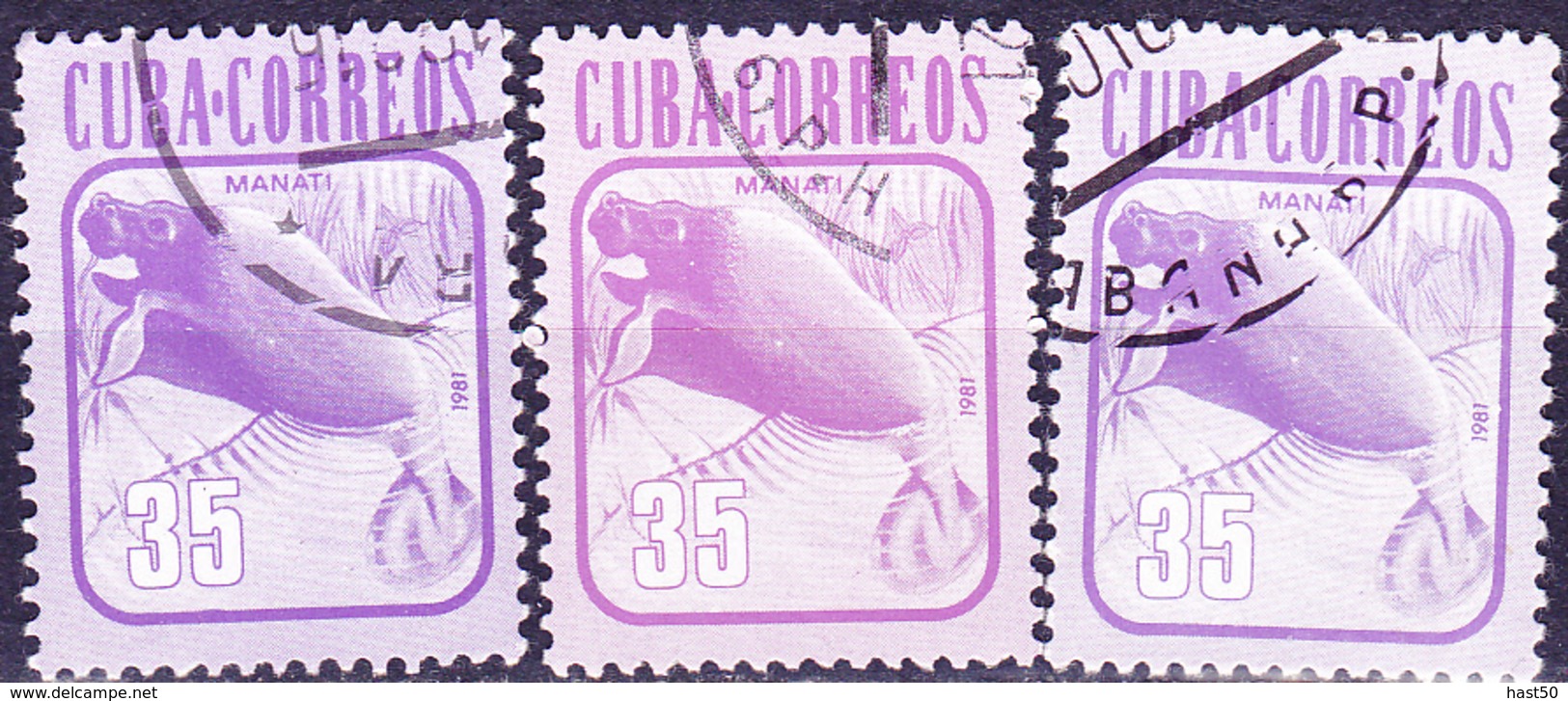 Kuba Cuba - Nagel-Manati (Trichechus Manatus) (Mi.Nr.: 2610) 1981 - Gest Used Obl  3 Farbnuancen - Usati