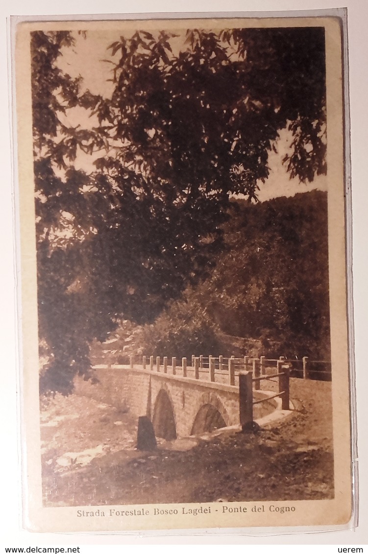 EMILIA ROMAGNA - PARMA - STRADA FORESTALE BOSCO LAGDEI - PONTE DEL COGNO Formato Piccolo - Viaggiata Nel 1929 - Condizio - Parma