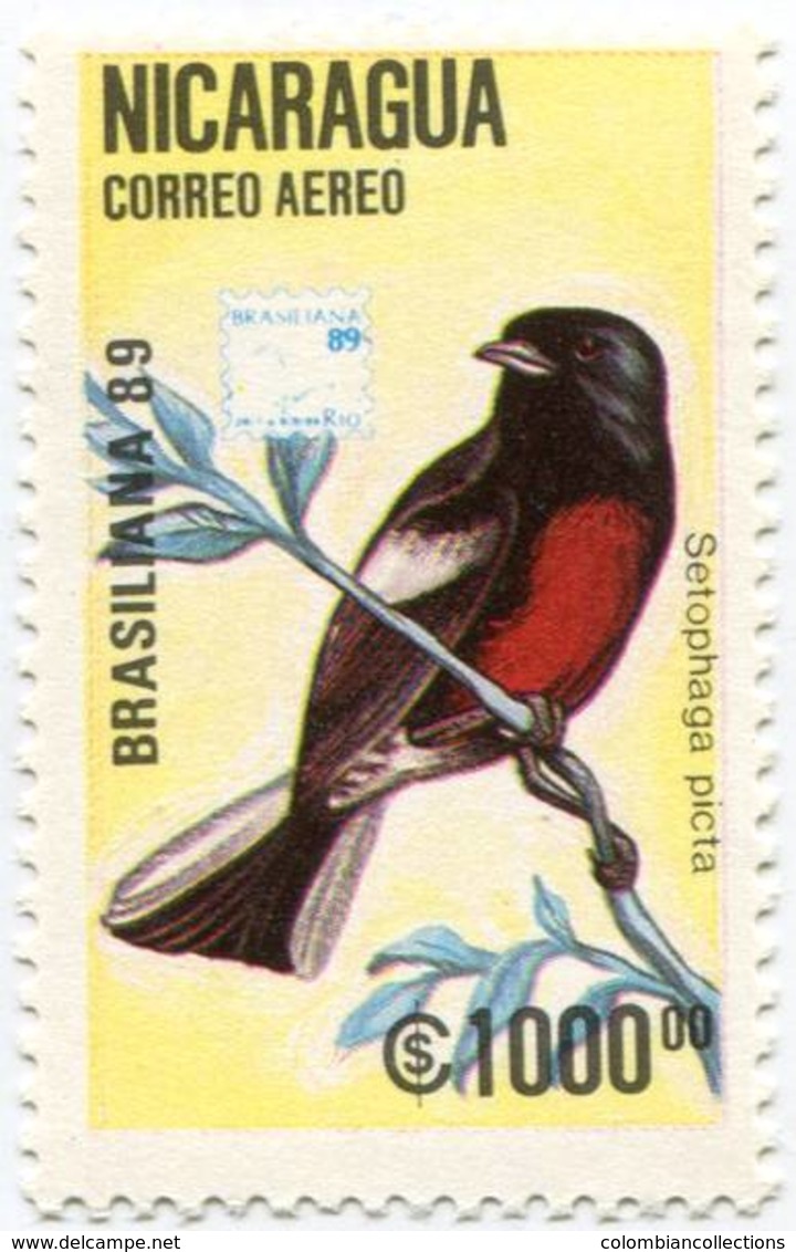 Lote C1172-8, Nicaragua, 1989, Sello, Stamp, 7 V, Ave, Bird, Brasiliana ’89, Aves - Nicaragua