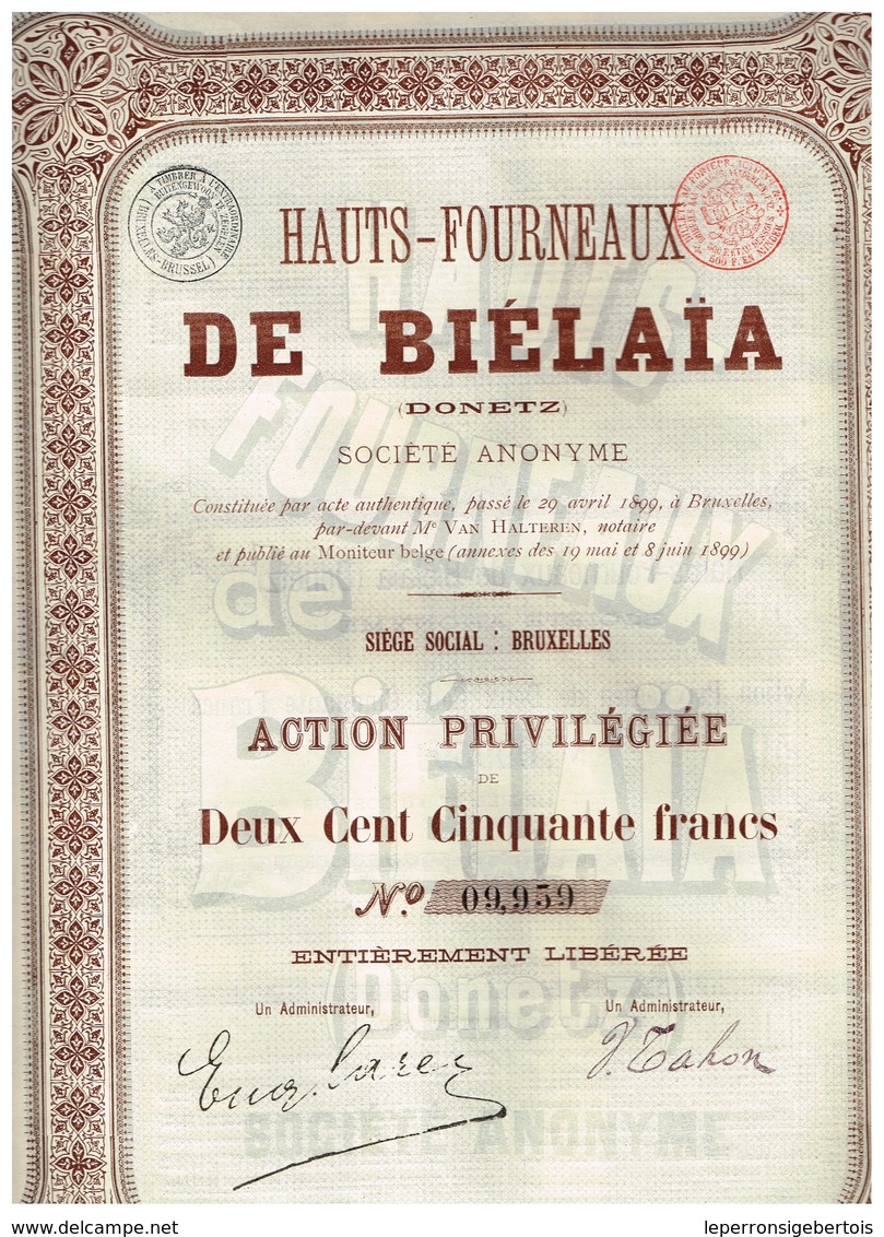 Ancienne Action - Hauts-Fourneaux De Biélaïa (Donetz) - Titre De 1899 - Titre N° 09.959 - Russie