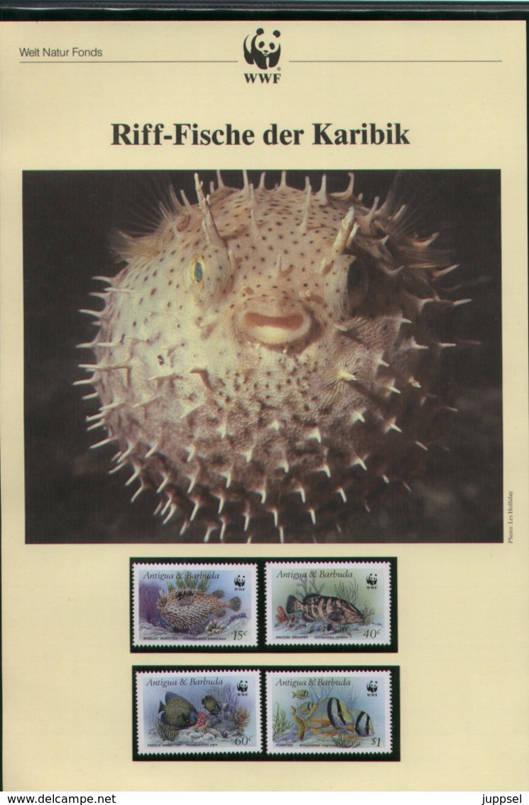 WWF Kapitel,  ANTIGUA & BARBUDA,  RIFFFISCHE Der KARIBIK, 1987 - Sonstige & Ohne Zuordnung