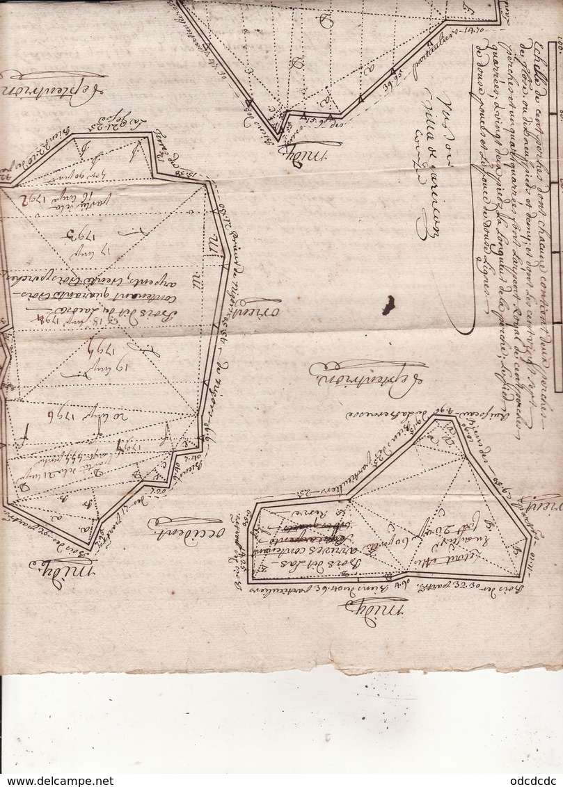 Gen D'Auch Et De Pau 17 Dec 1731 Plan Figuratif Du Bois De La Commune De Blajan 4 Scans - Cachets Généralité