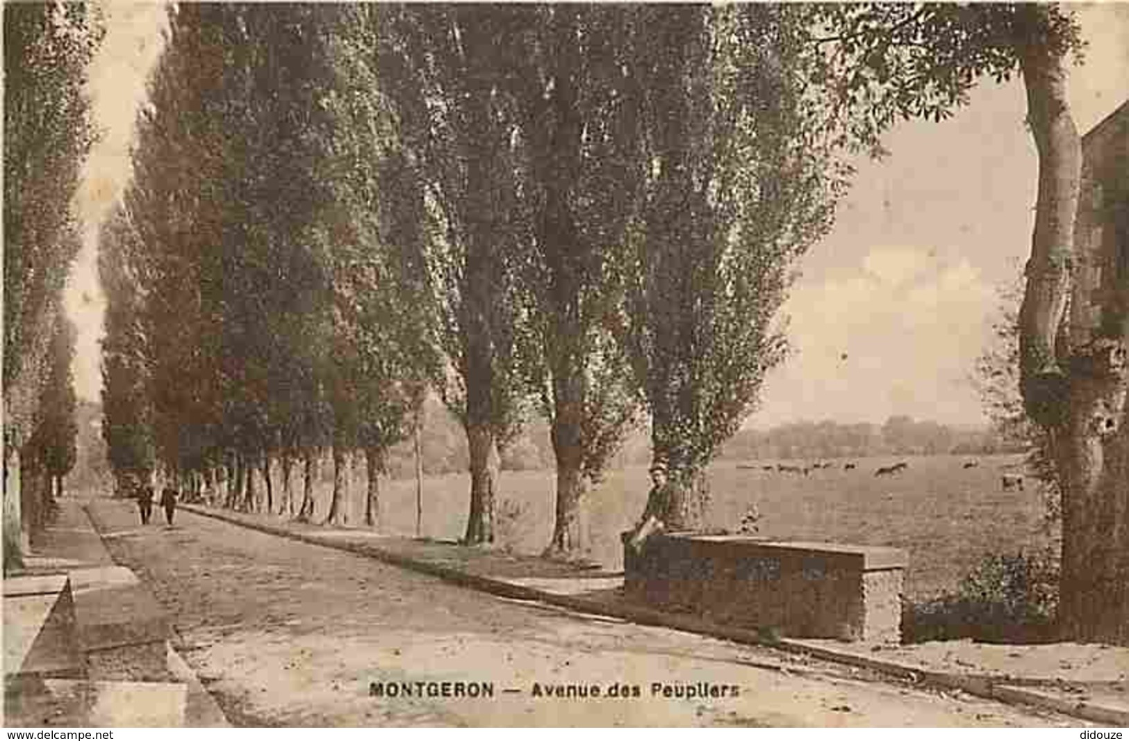 91 - Montgeron - Avenue Des Peupliers - Animé - Voir Scans Recto-Verso - Montgeron