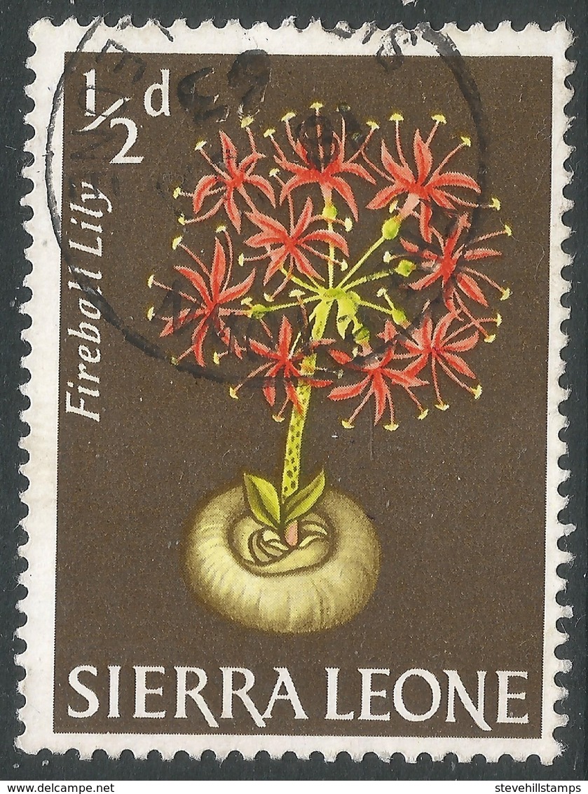 Sierra Leone. 1963 Flowers. ½d Used. SG 242 - Sierra Leone (1961-...)