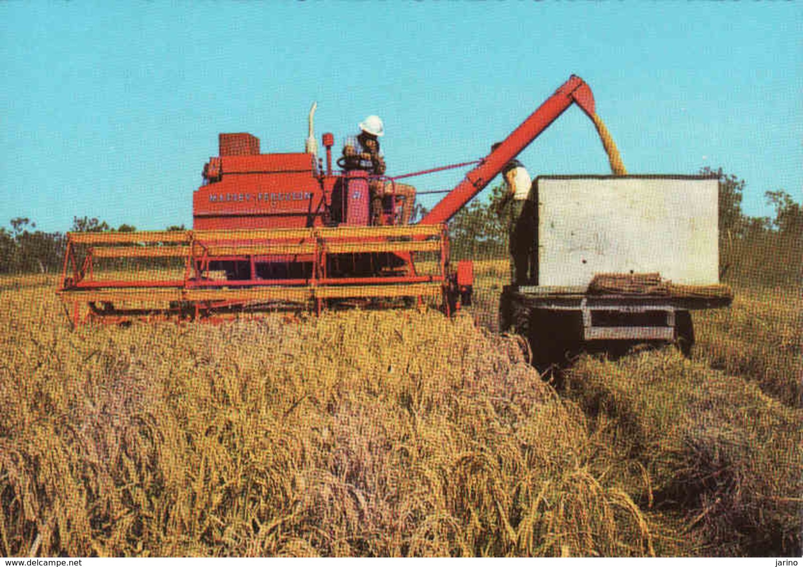 Australia > Rice Harvesting, Harvester, Moissonneur, Mähdrescher, Unused, Mint - Tracteurs