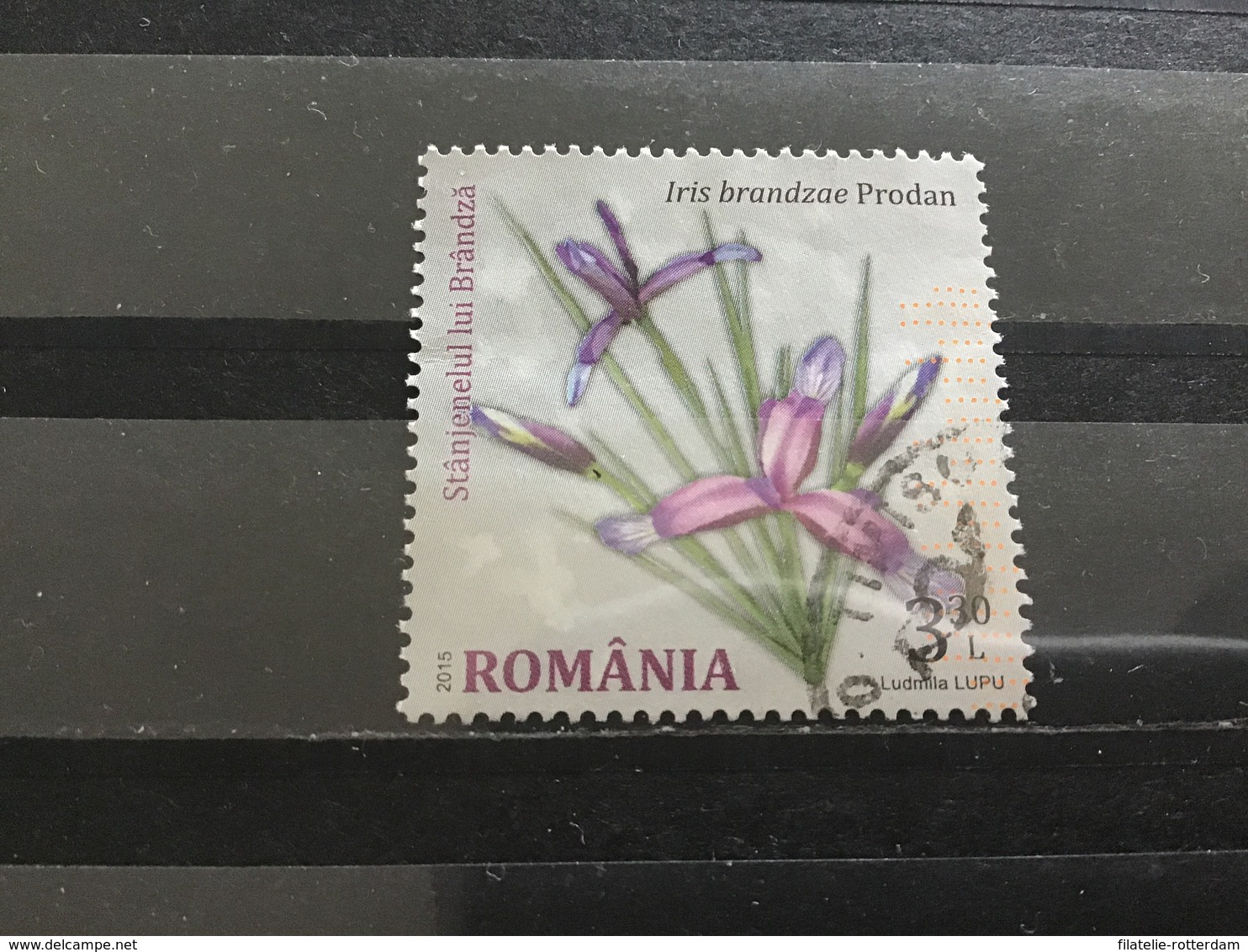 Roemenië / Romania - Bloemen (3.30) 2015 - Gebruikt