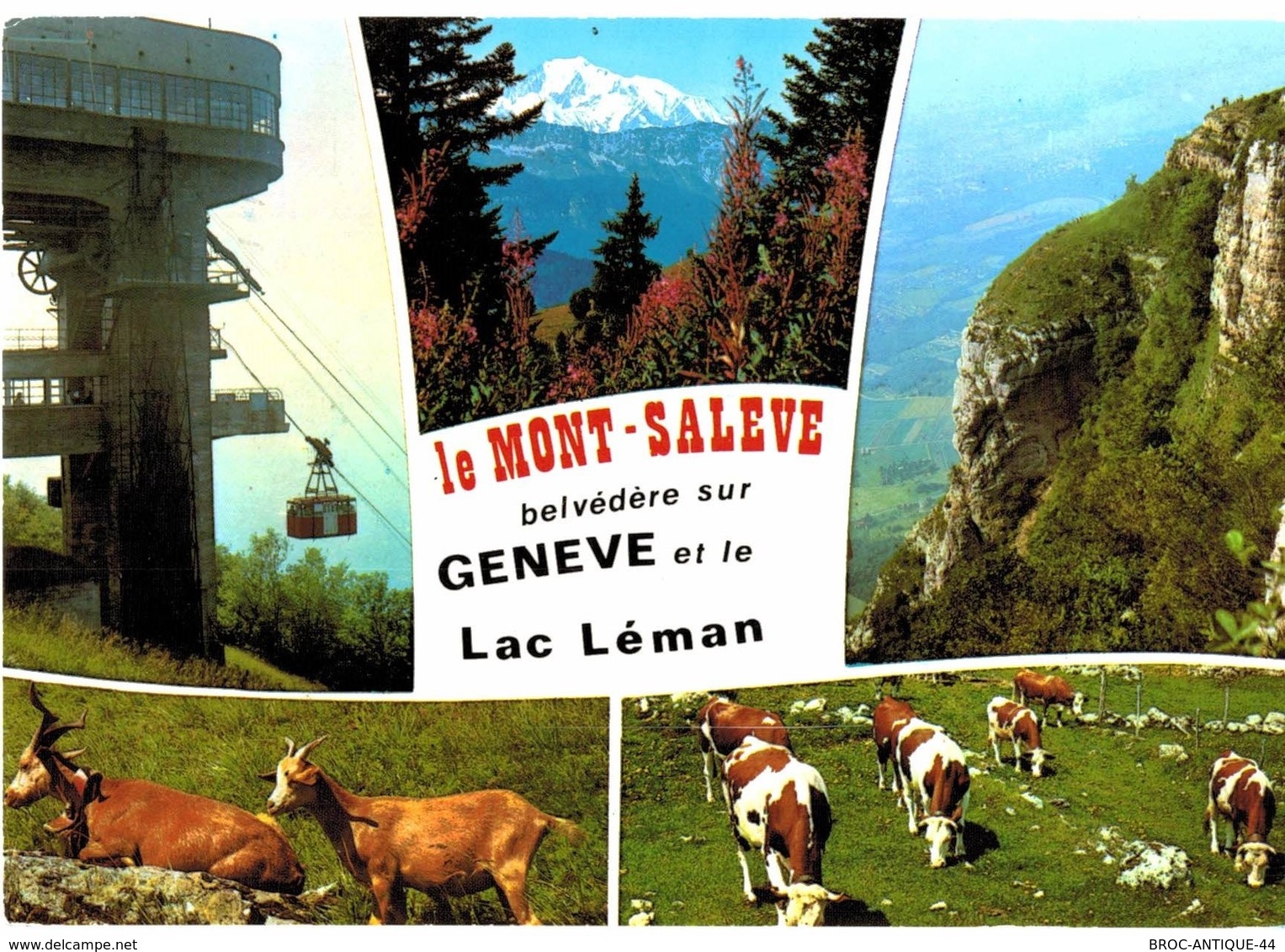 CPM* N°562 - LOT DE 5 CARTES DE MONNETIER ET LE MONT SALEVE - Autres & Non Classés