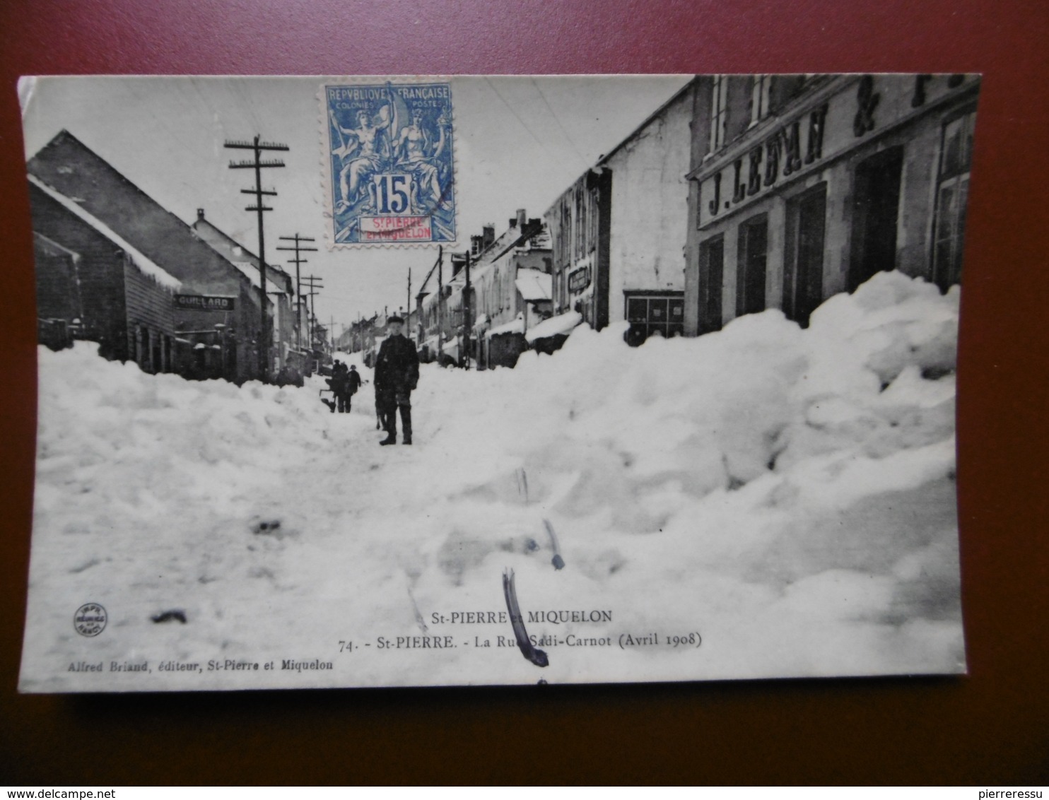 ST PIERRE ET MIQUELON  LA RUE SADI CARNOT TIMBRE - Saint-Pierre-et-Miquelon