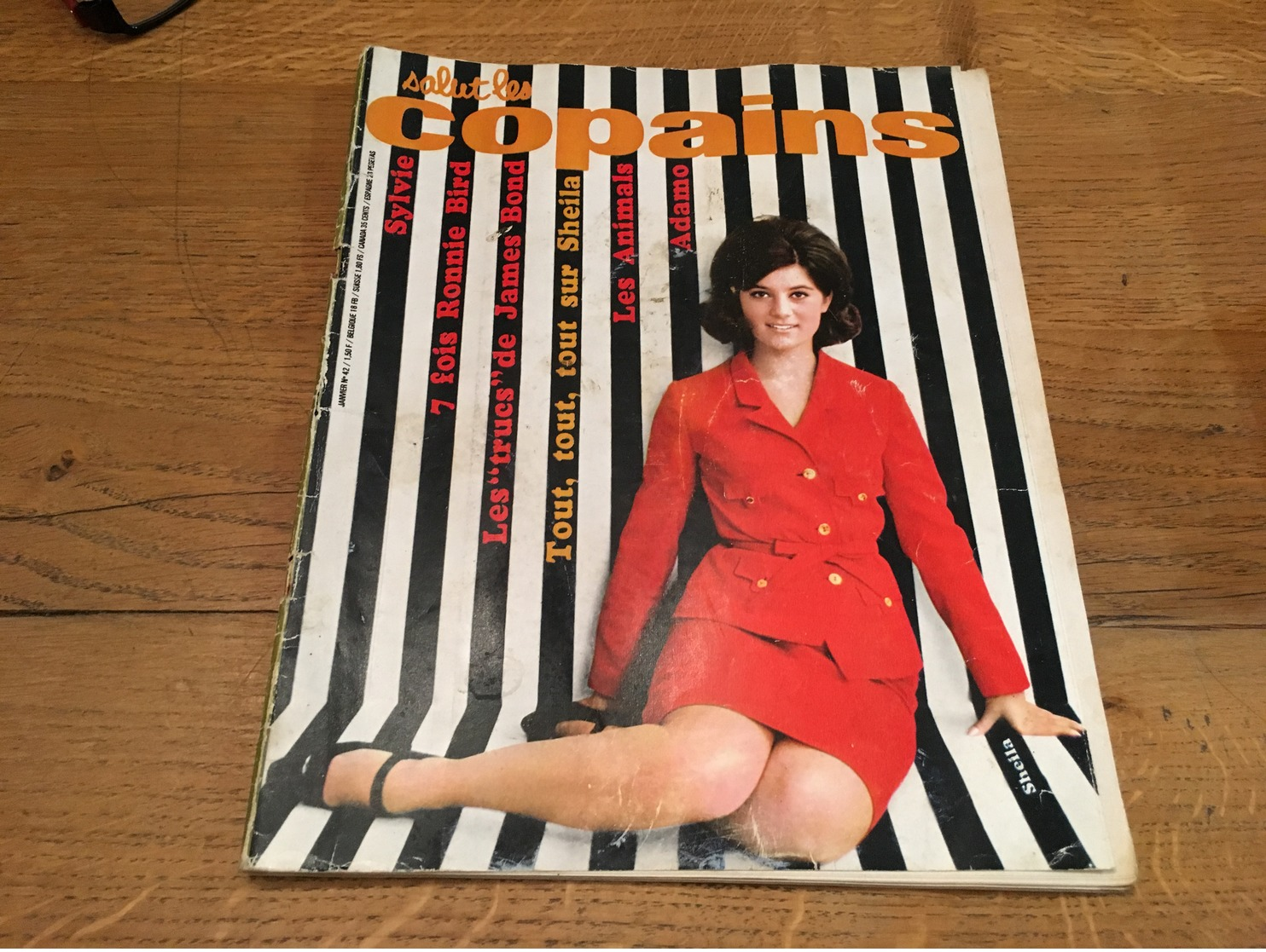 170/SALUT LES COPAINS N°42  1966  RONNIE BIRD, SYLVIE, SHEILA, LES ANIMALS , ECT - Musica