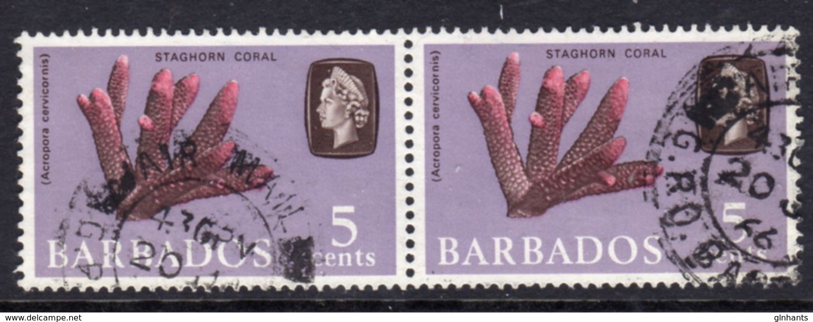 BARBADOS - 1965 5c DEFINITIVE STAMP PAIR WMK W12 UPRIGHT REF B USED SG 326 X 2 - Barbados (...-1966)