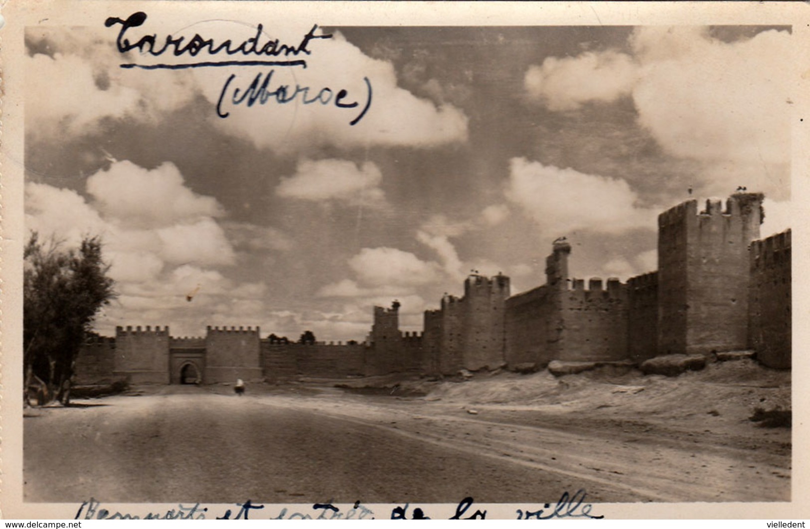 TAROUDANT (Maroc) - Remparts Et Entrée De La Ville  - Cpsm De 1953 - Rare - Bon état - 2 Scans - Autres & Non Classés