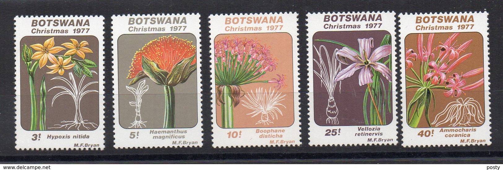 BOTSWANA - FLEURS - FLOWERS - CHRISTMAS 1977 - NOEL 1977 - 1977 - - Botswana (1966-...)