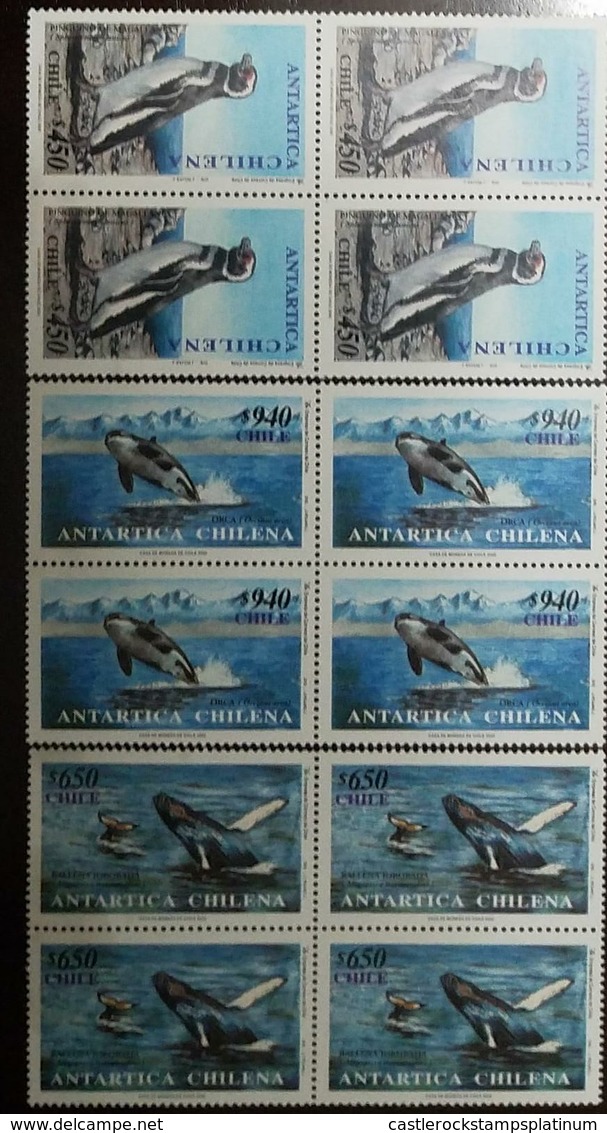 O) 2000 CHILE,  ANTARCTIC FAUNA, SPHENIS  PENGUIN -MAGELLANICU MEGAPTERA-ORCINUS WHALE, BLOCK  OF 4 MNH - Chile
