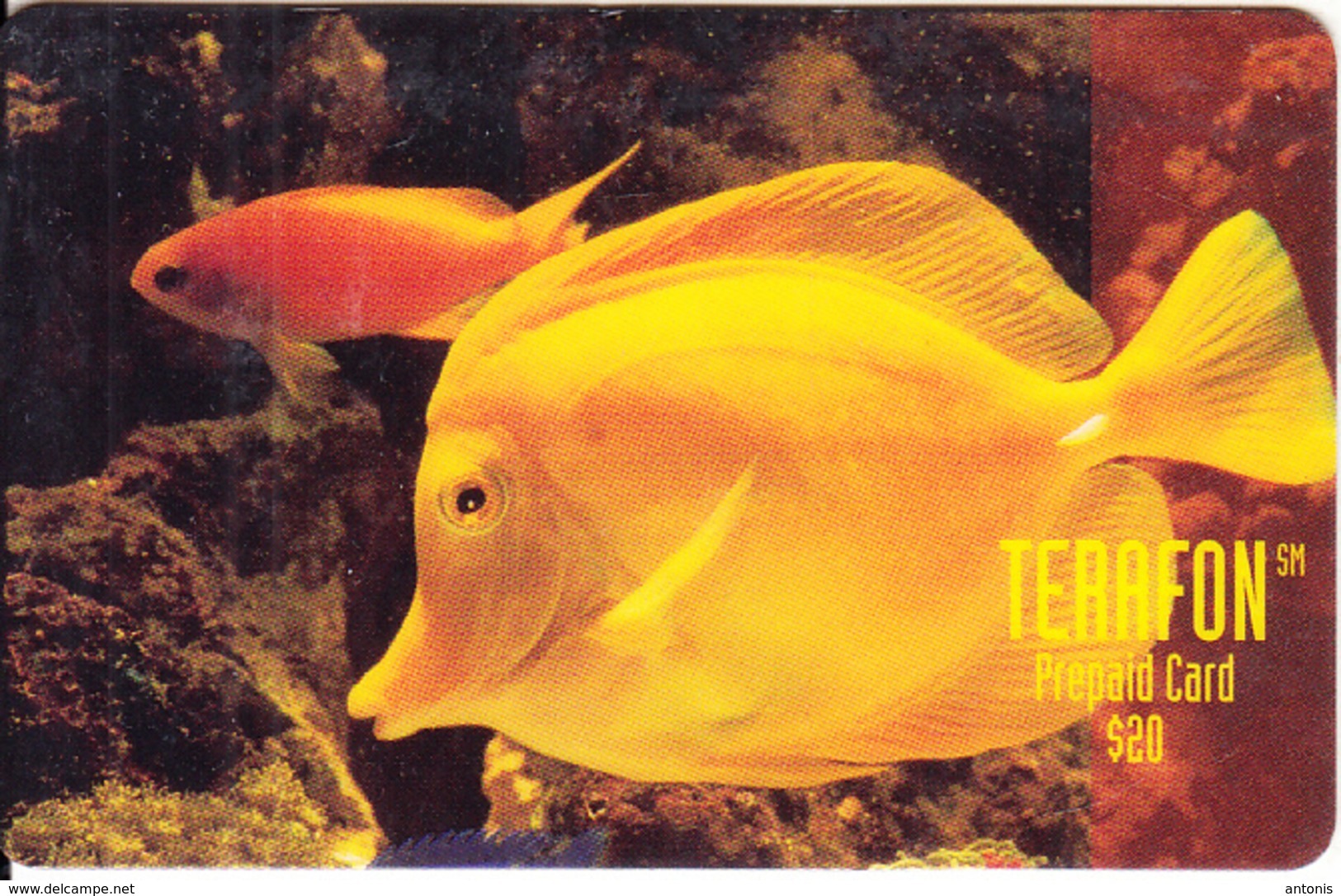 PUERTO RICO - Longsnout Butterfly Fish, Terafon Prepaid Card $20, Exp.date 04/97, Used - Puerto Rico